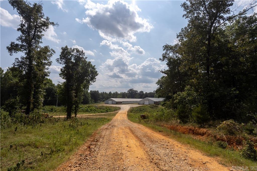 51 White Drive Cave City, AR 72521