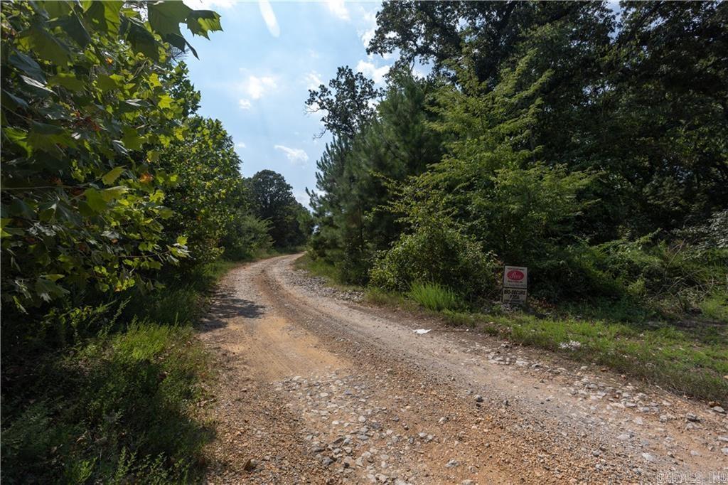 51 White Drive Cave City, AR 72521