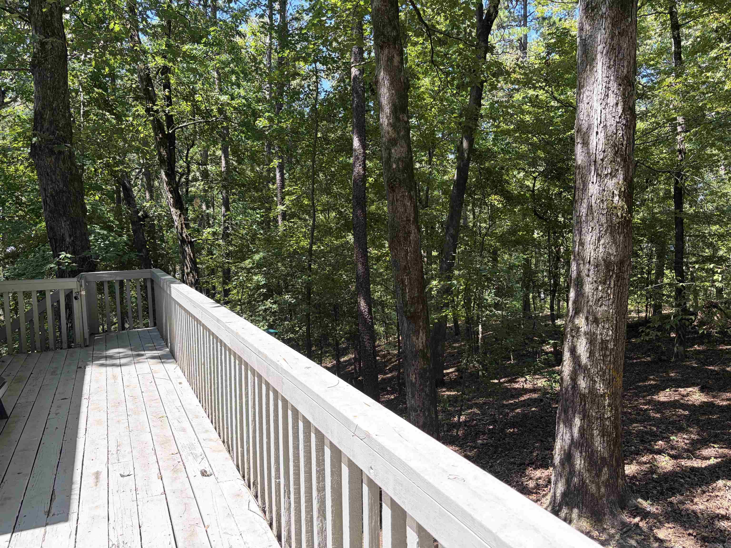 138 Silver Point Drive Mount Ida, AR 71957