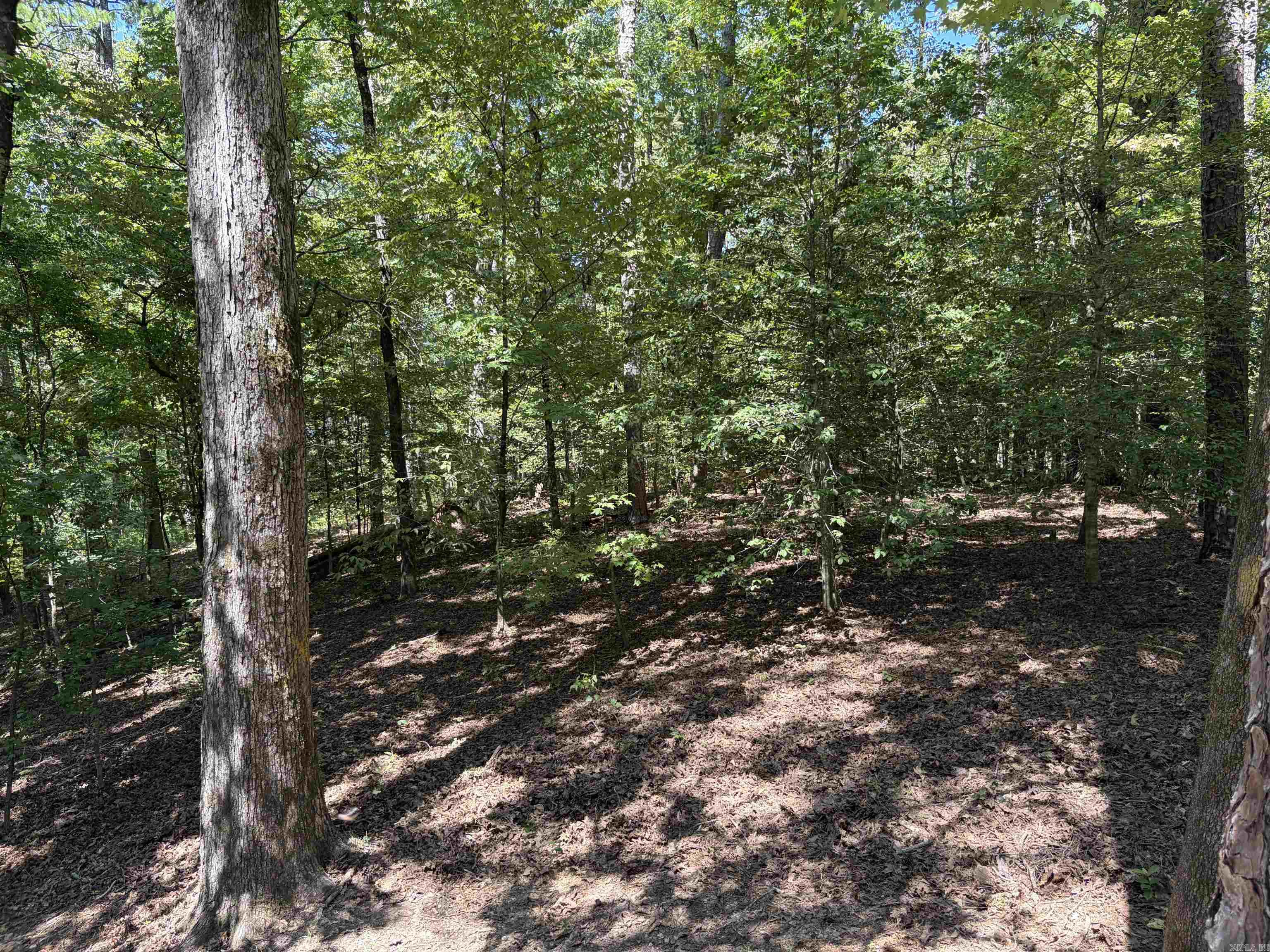 138 Silver Point Drive Mount Ida, AR 71957