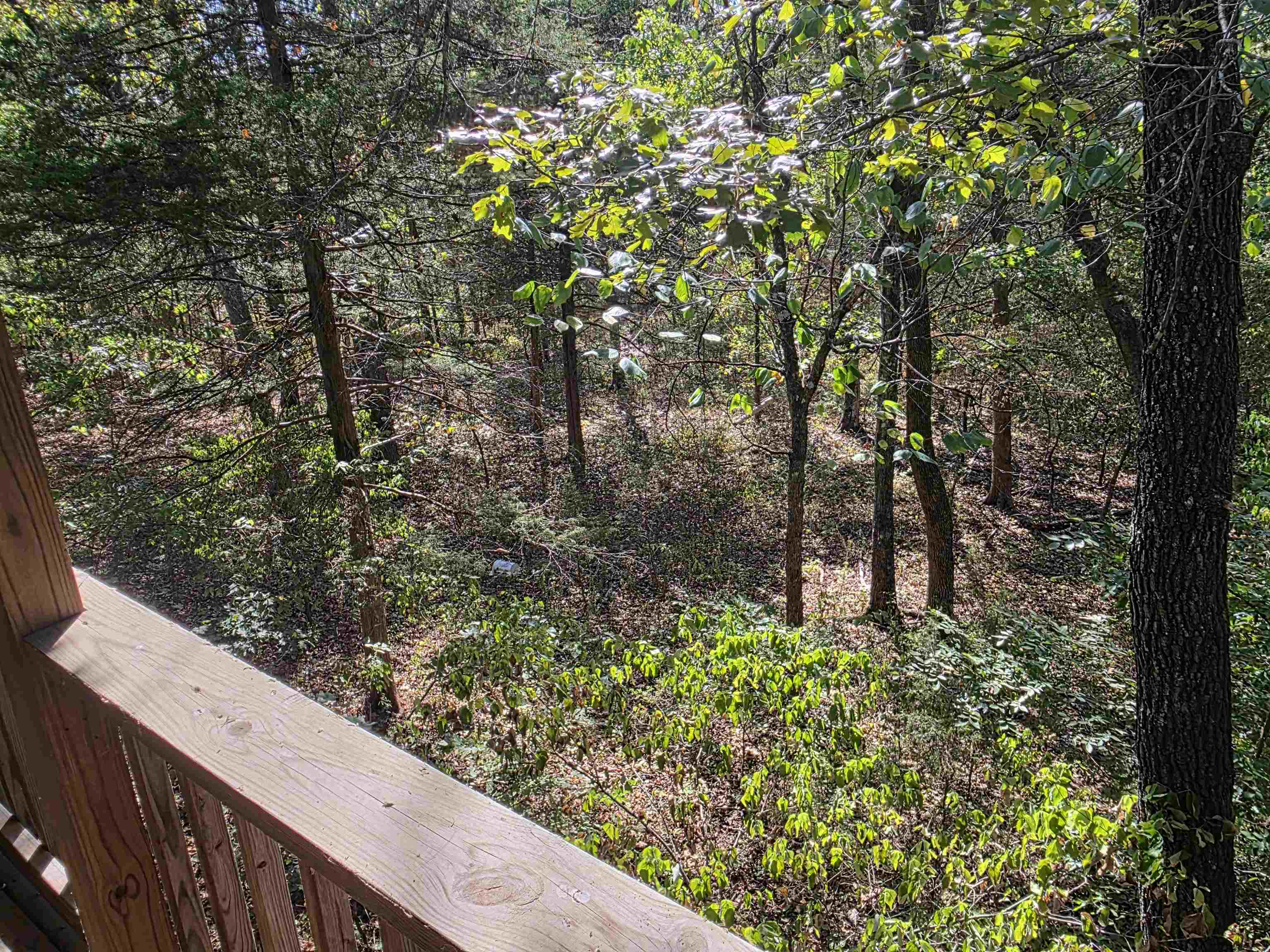 207 Ridge  Highland, AR