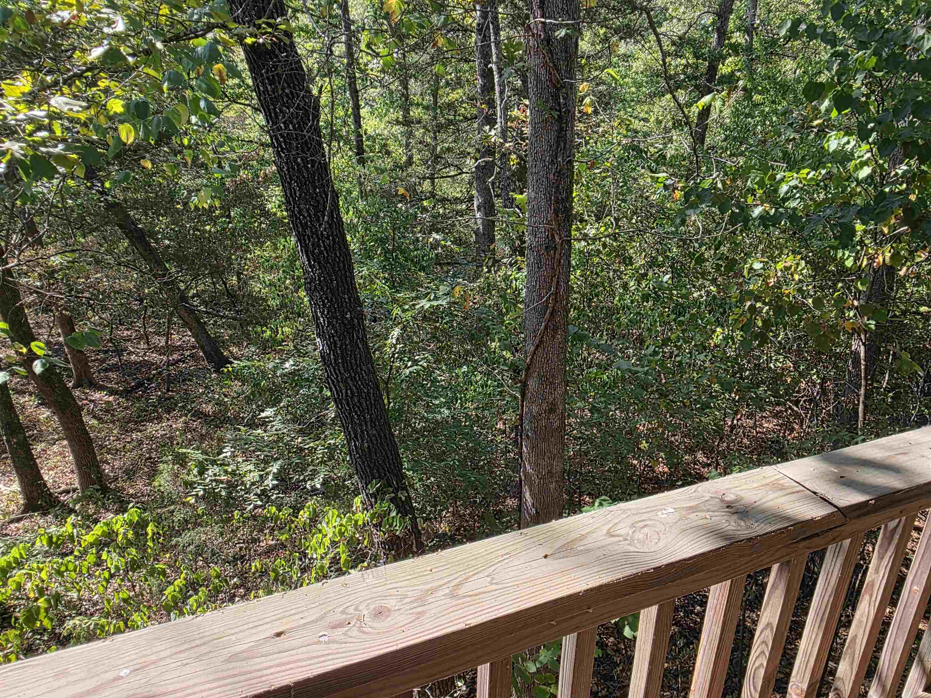 207 Ridge  Highland, AR
