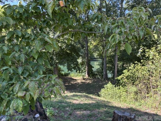 240 River Mist Drive — photo 2