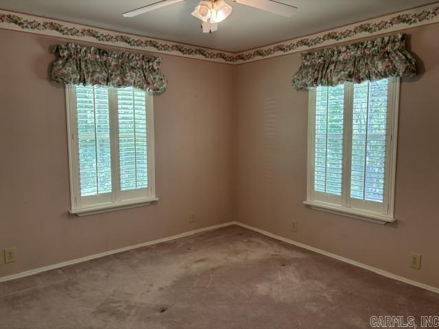 240 River Mist  Pangburn, AR