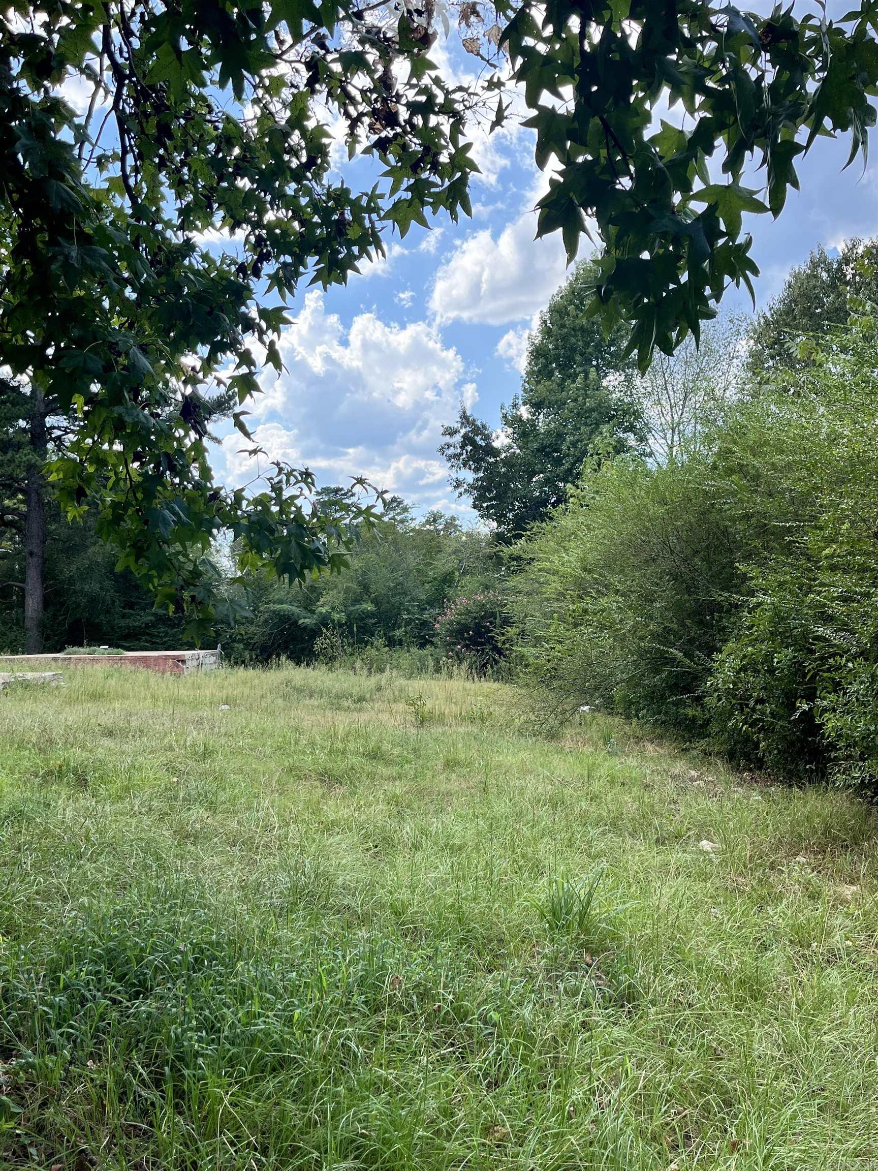 1423 Cedar Street — photo 3