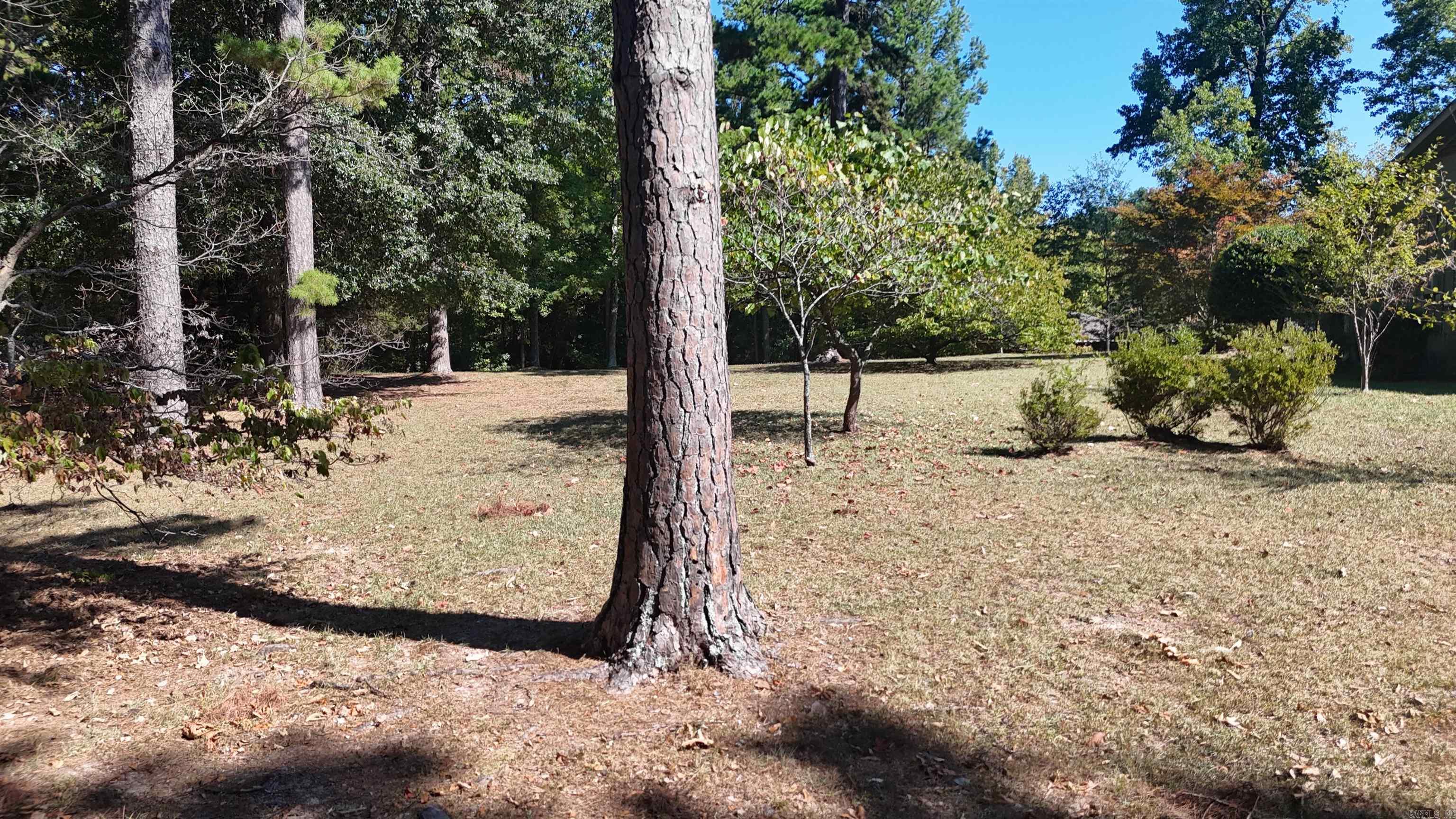 1004 Hastey  Mena, AR