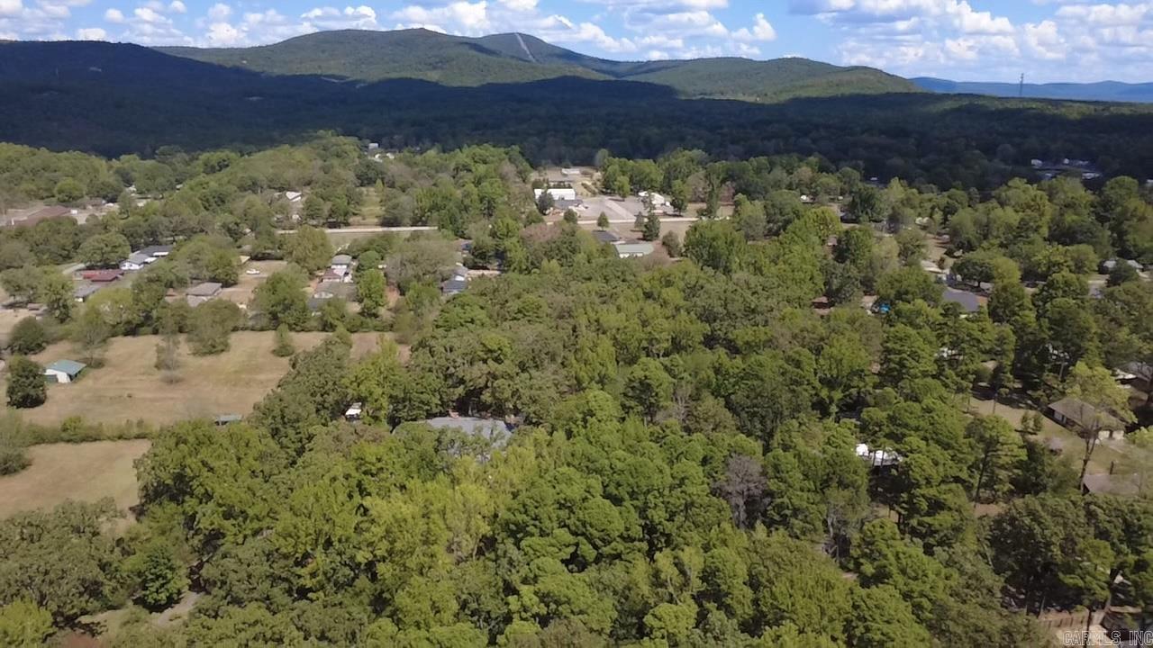 2205 Church Avenue Mena, AR 71953
