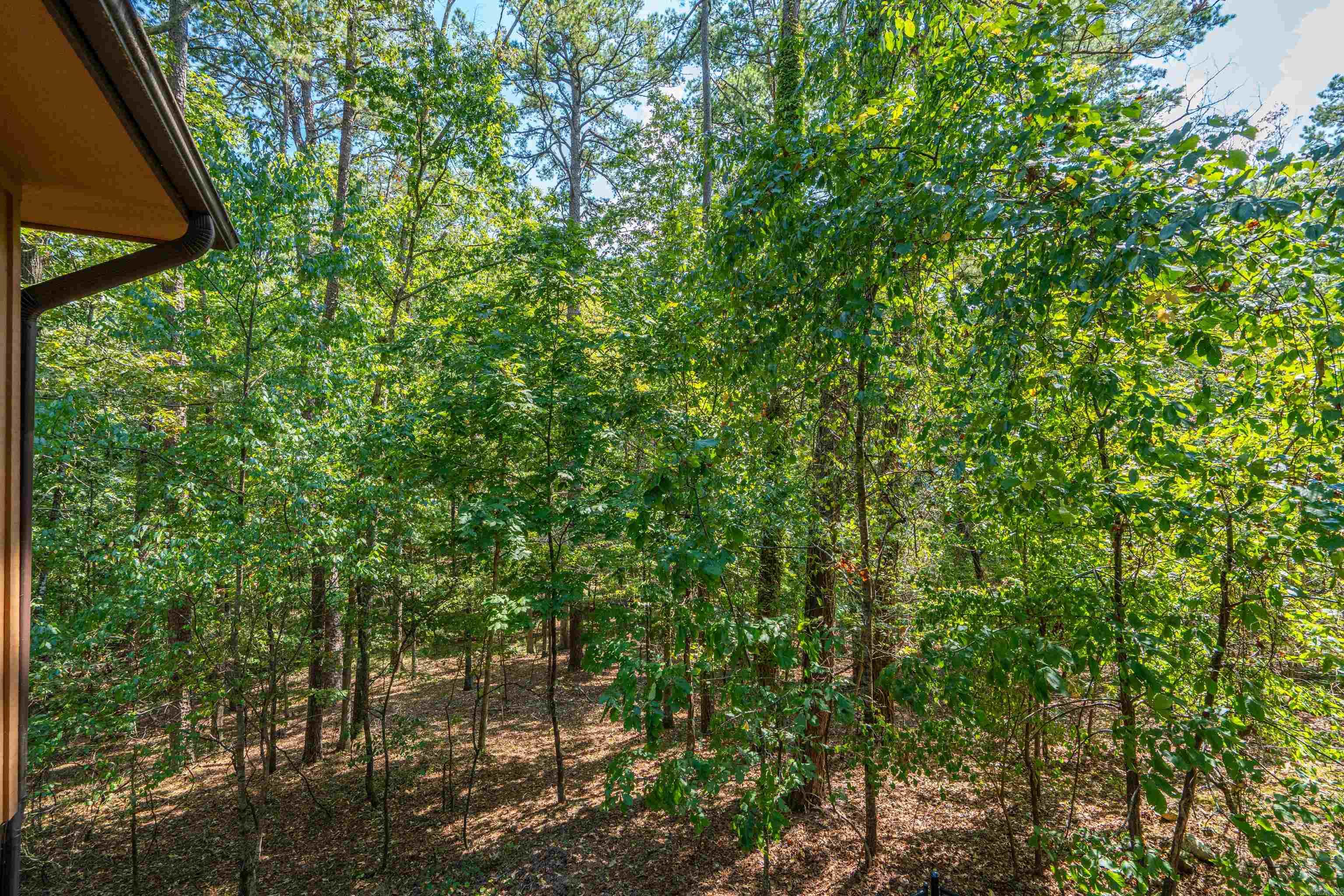 17 Badalona  Hot Springs Village, AR