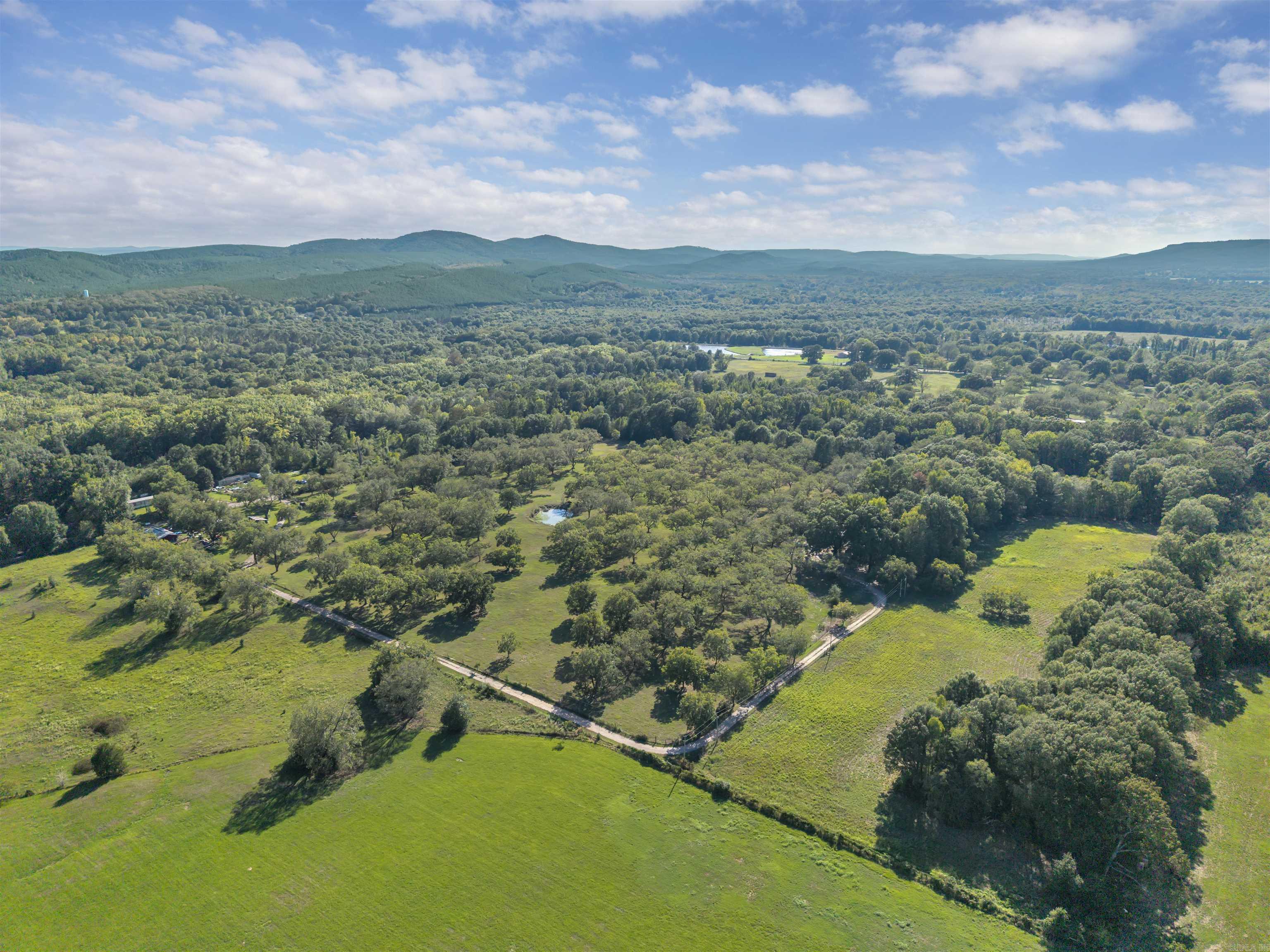 50 W Thompson Road — photo 4
