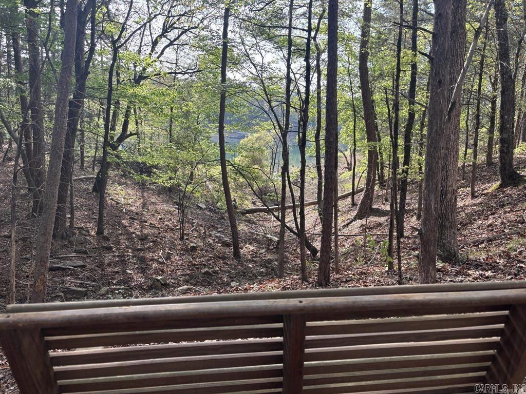 177 Green Creek Trail Shirley, AR 72153