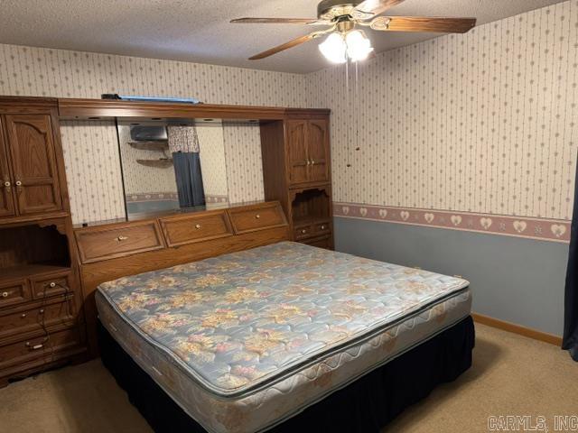 305 E Maple Streett  Pocahontas, AR