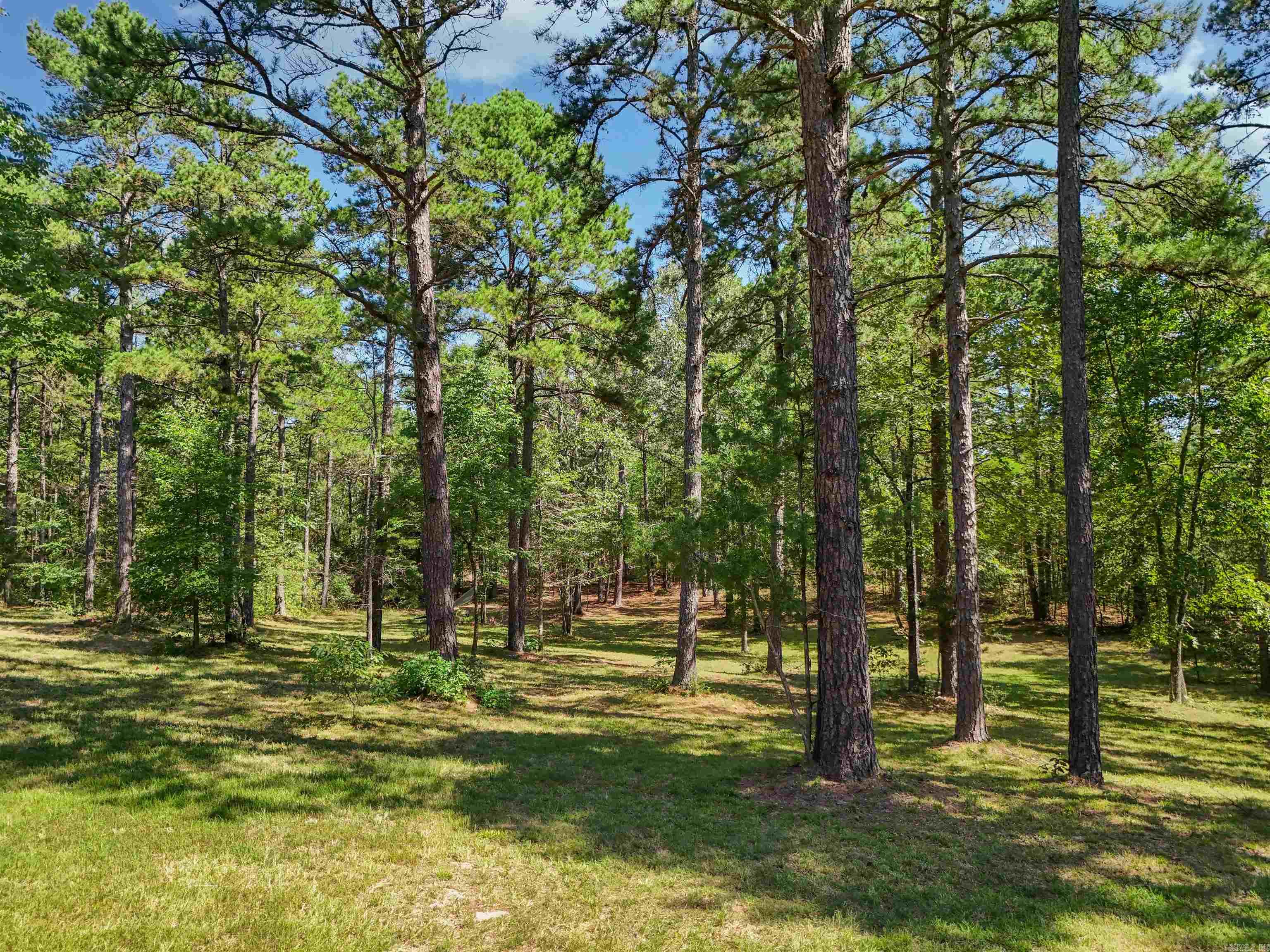 444 N Stacy Springs Road