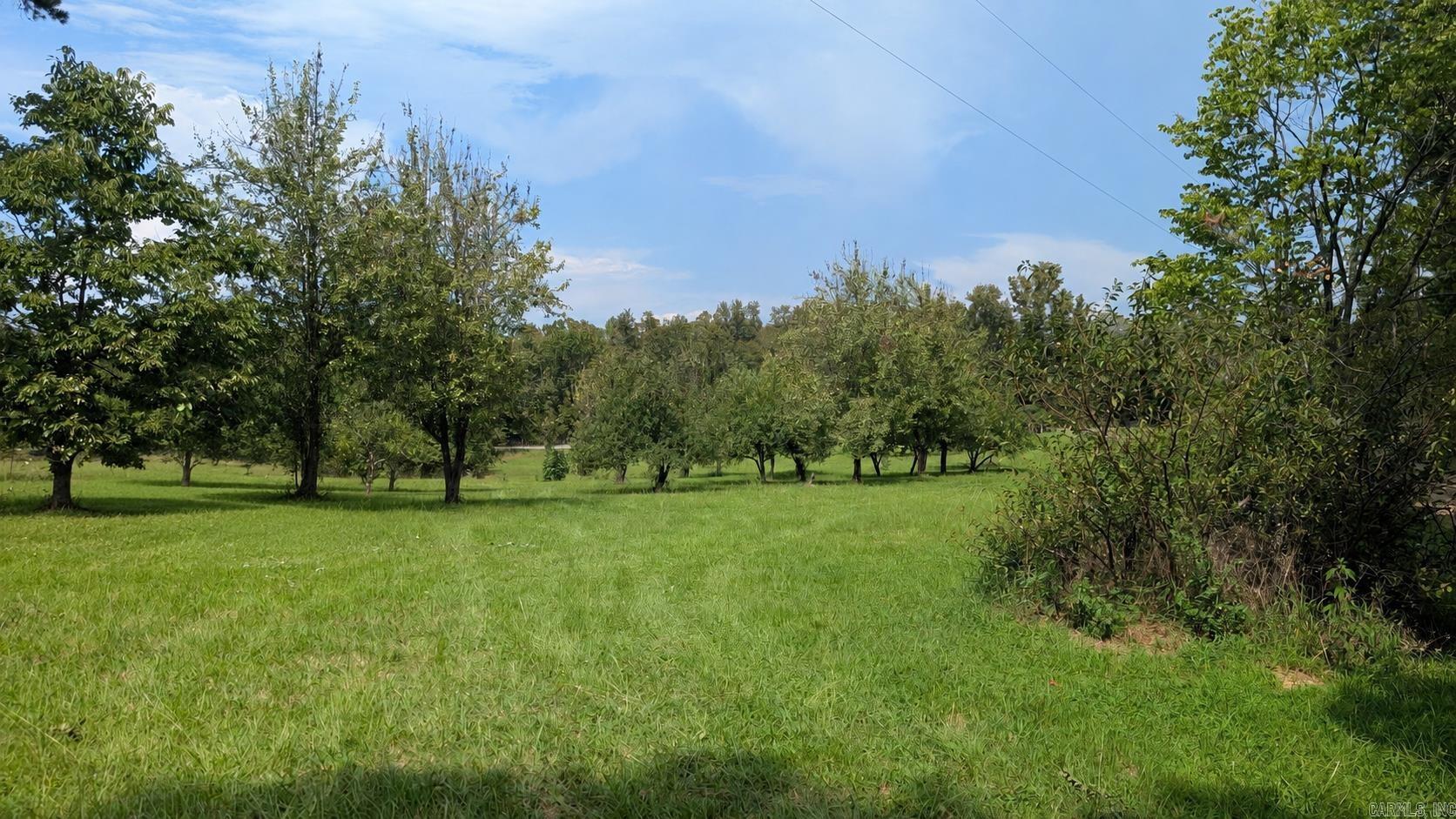 81 Laramie  Greenbrier, AR