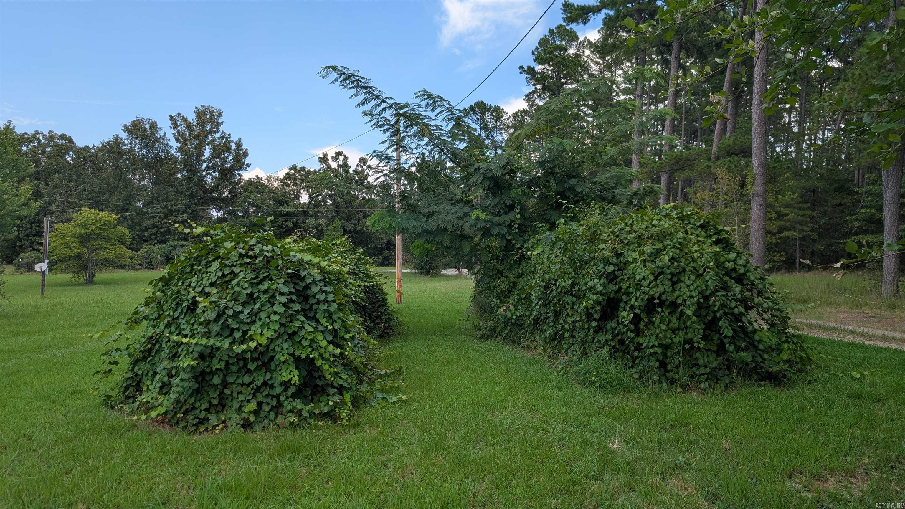 81 Laramie  Greenbrier, AR
