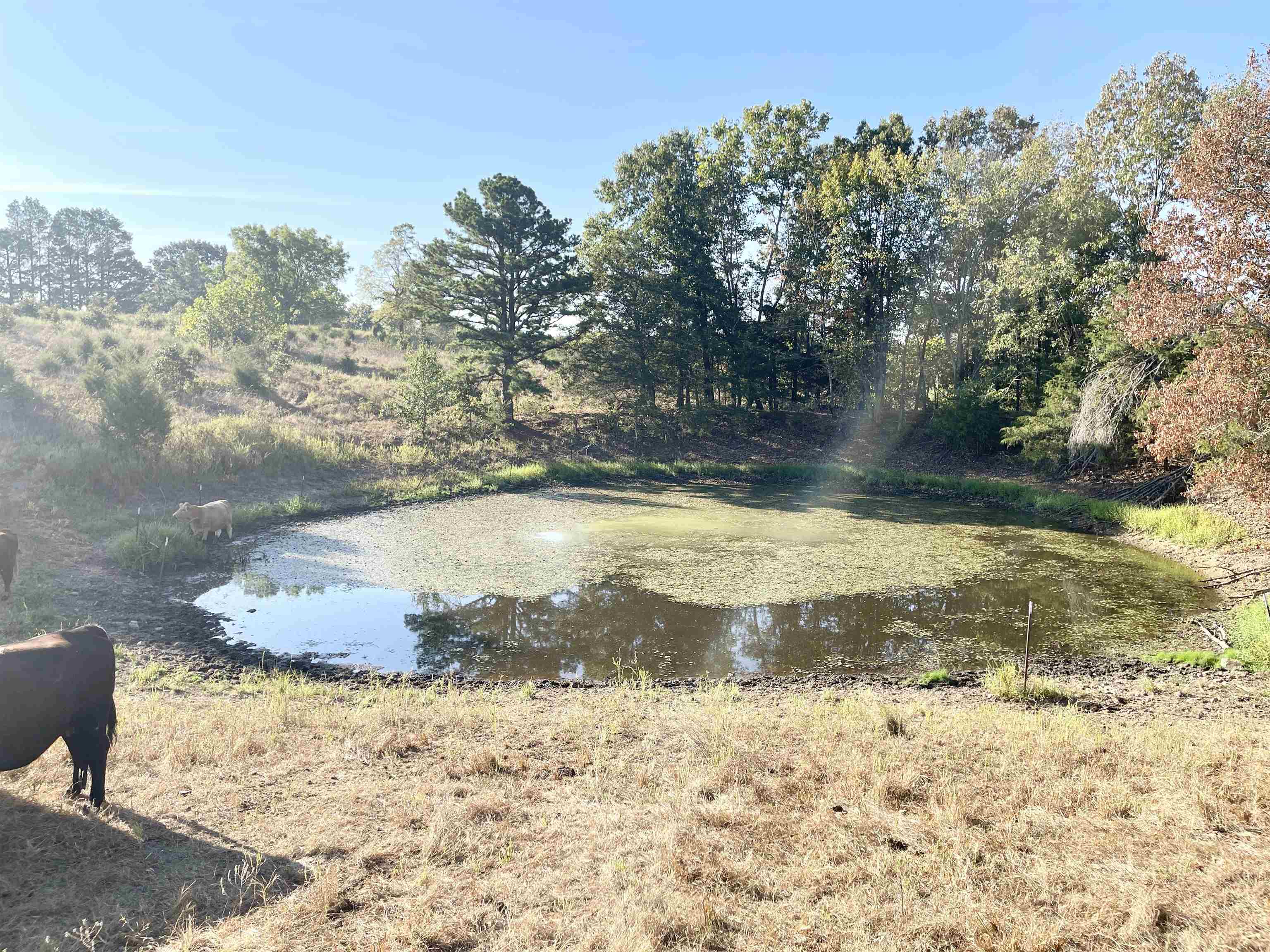 3169 Fairview Road