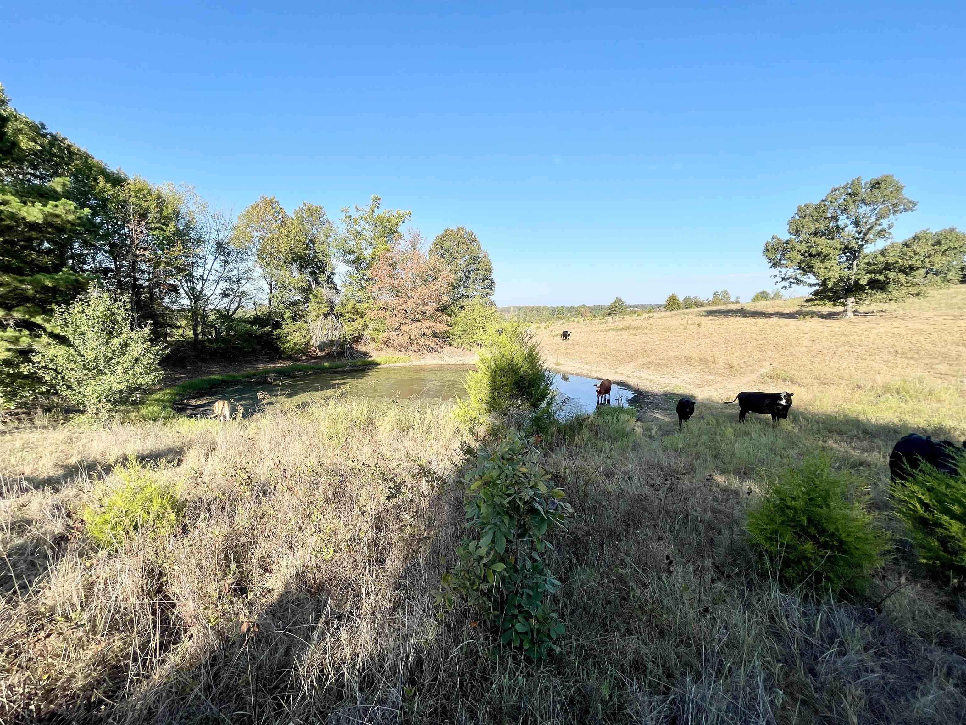3169 Fairview Road