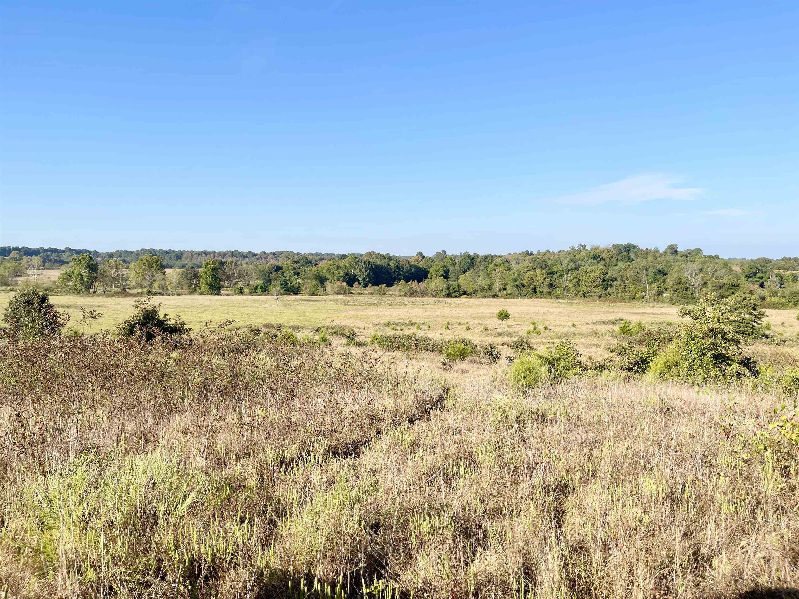 3169 Fairview Road