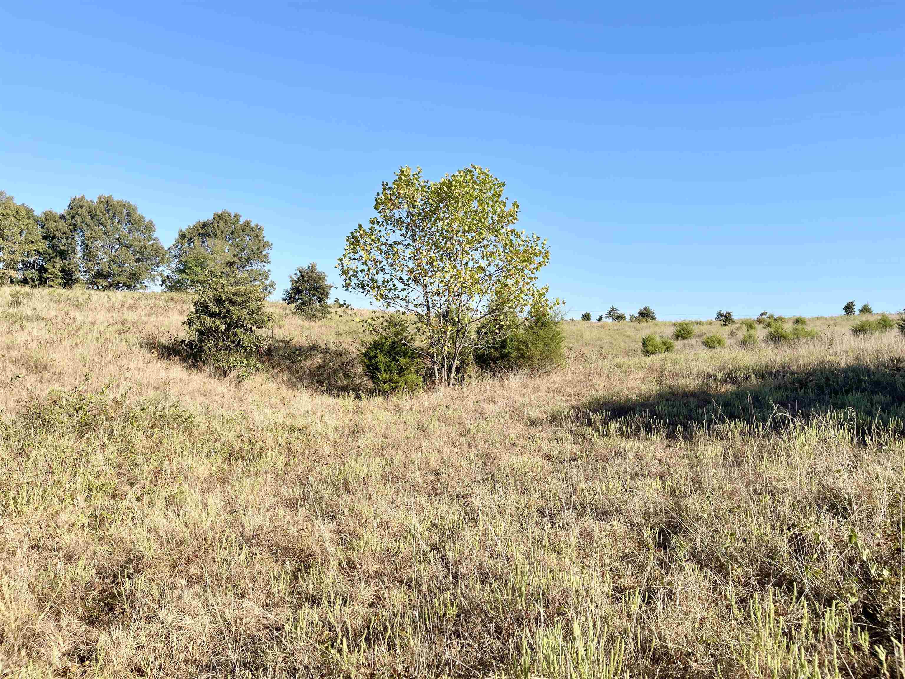 3169 Fairview Road
