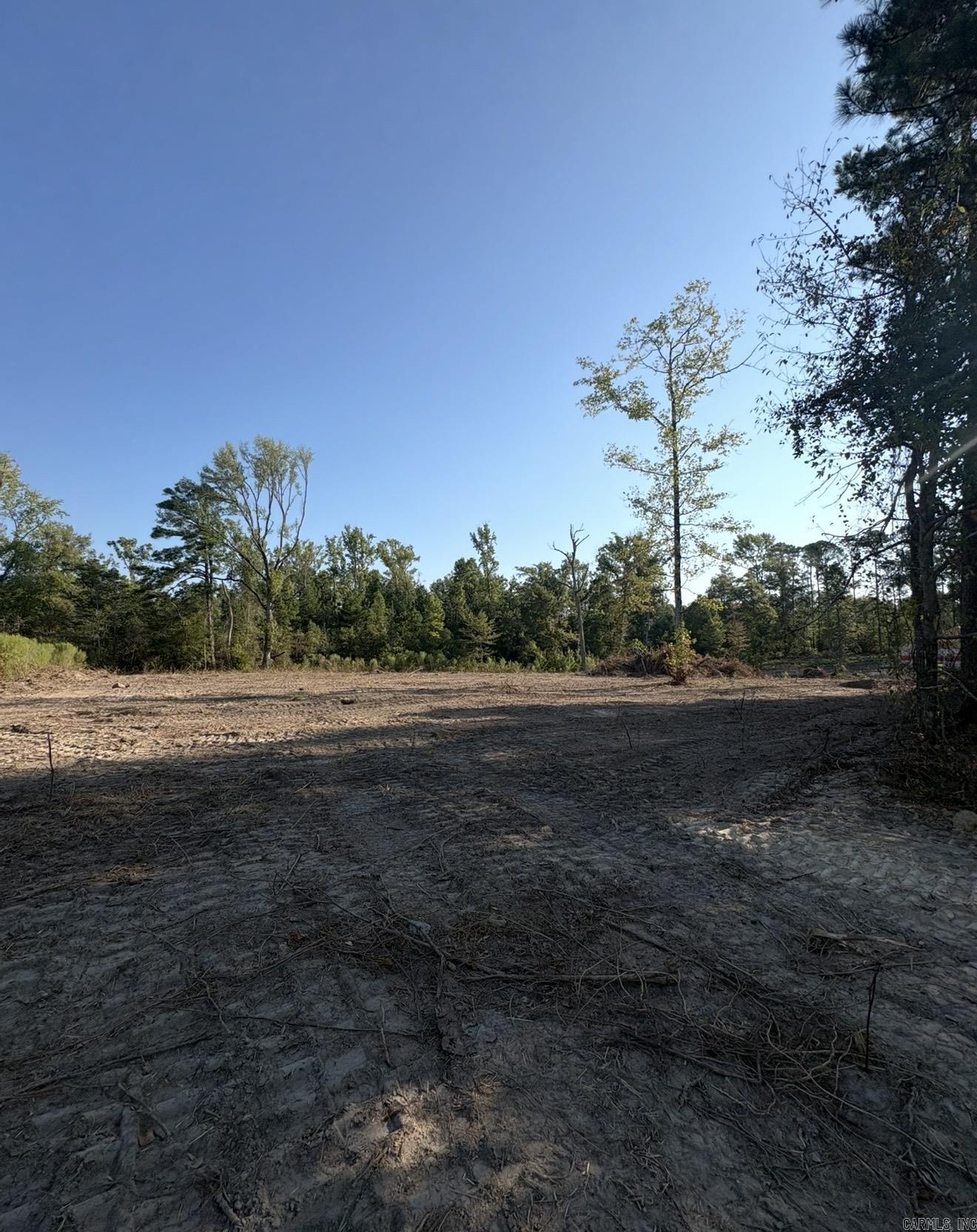0 Amber Acres — photo 2