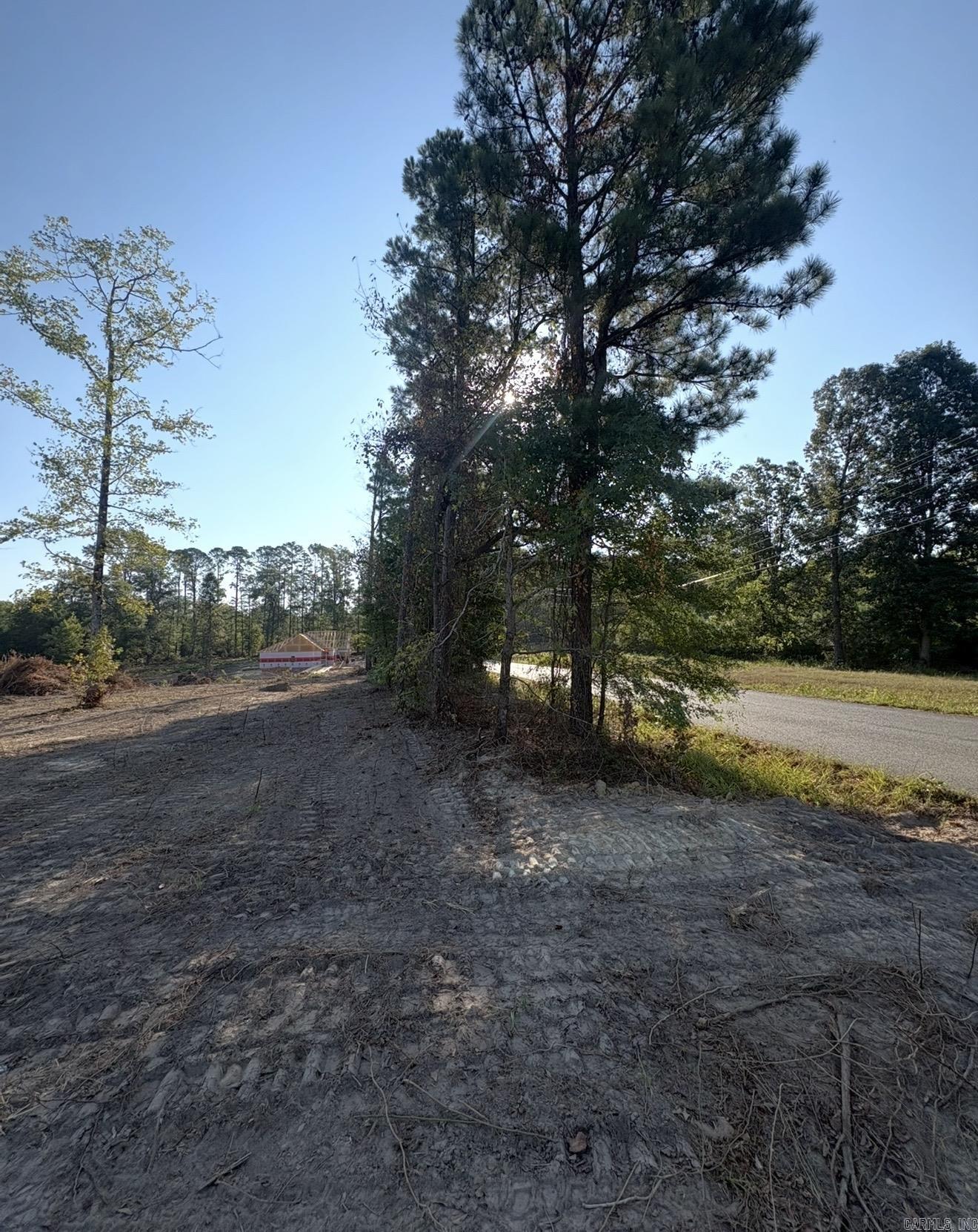 0 Amber Acres — photo 3