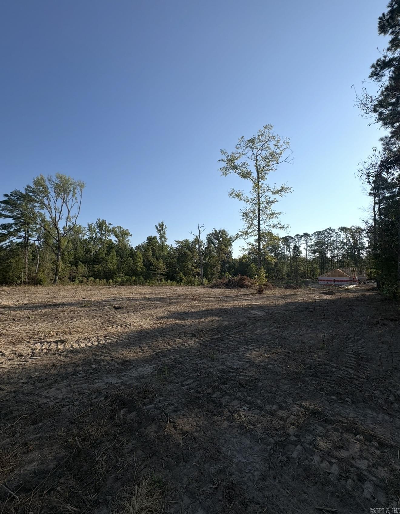 0 Amber Acres — photo 4