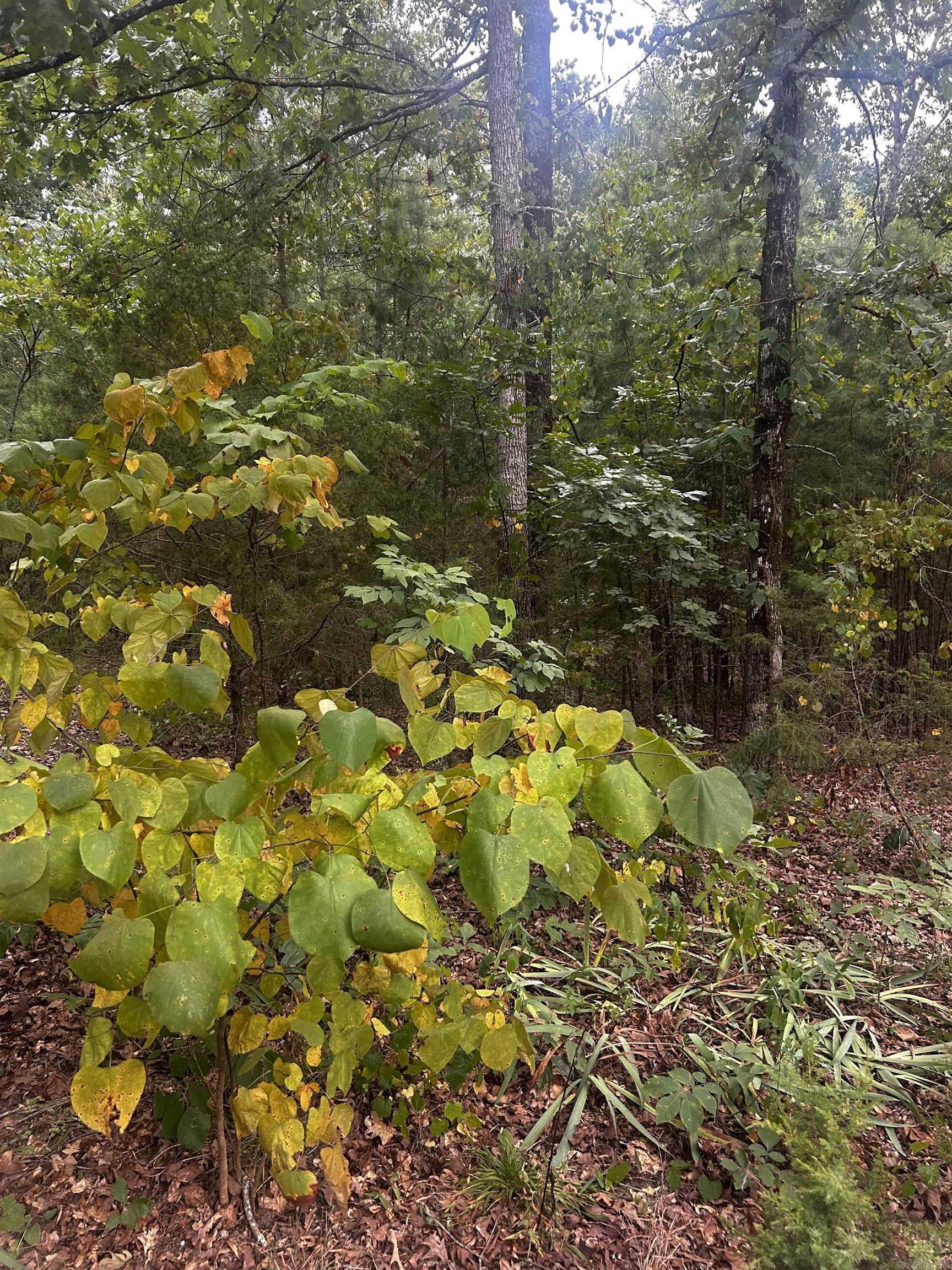 1223  Mill Creek  Higden, AR