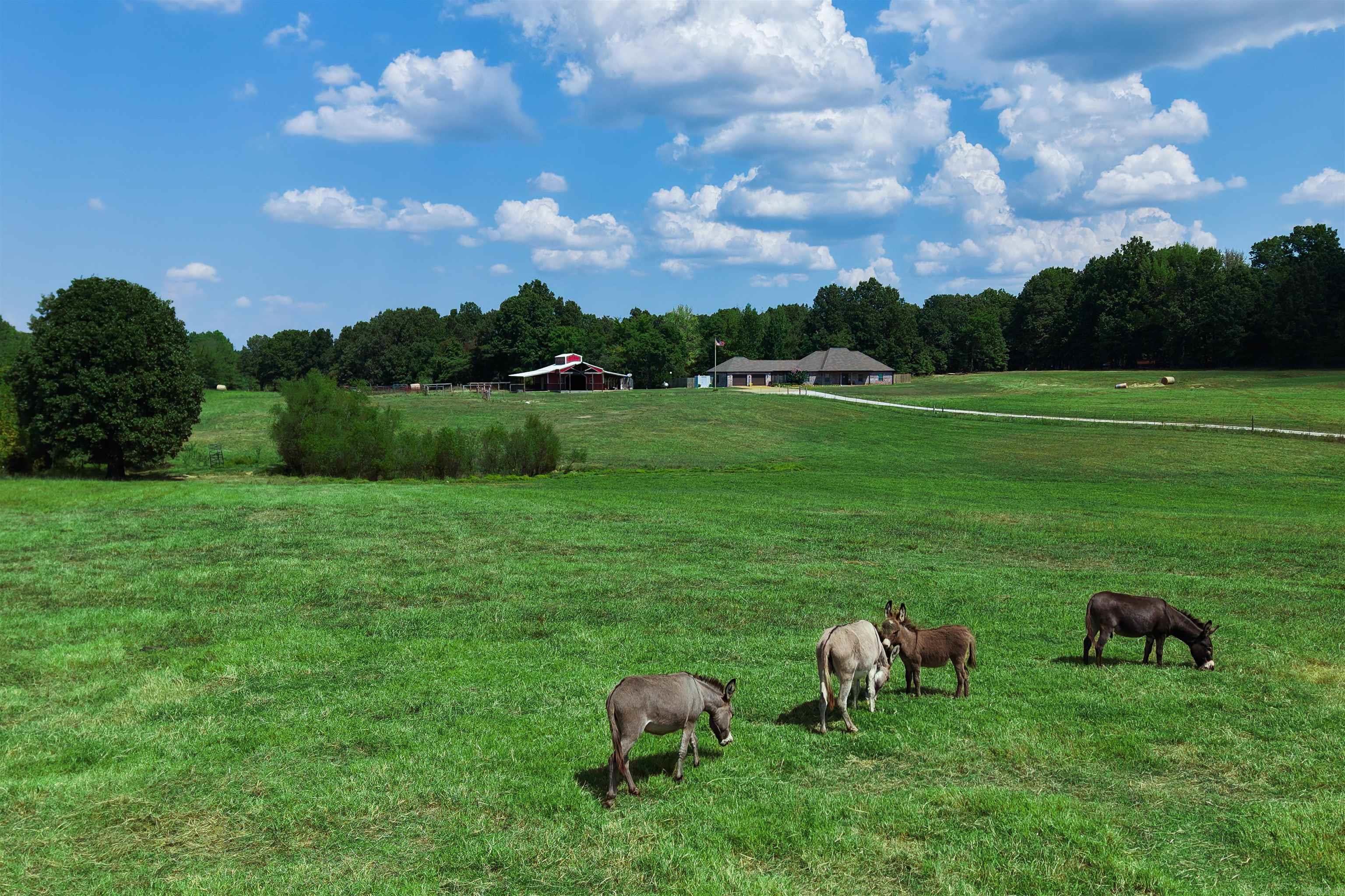 6600 Greene 721 Road Paragould, AR 72450