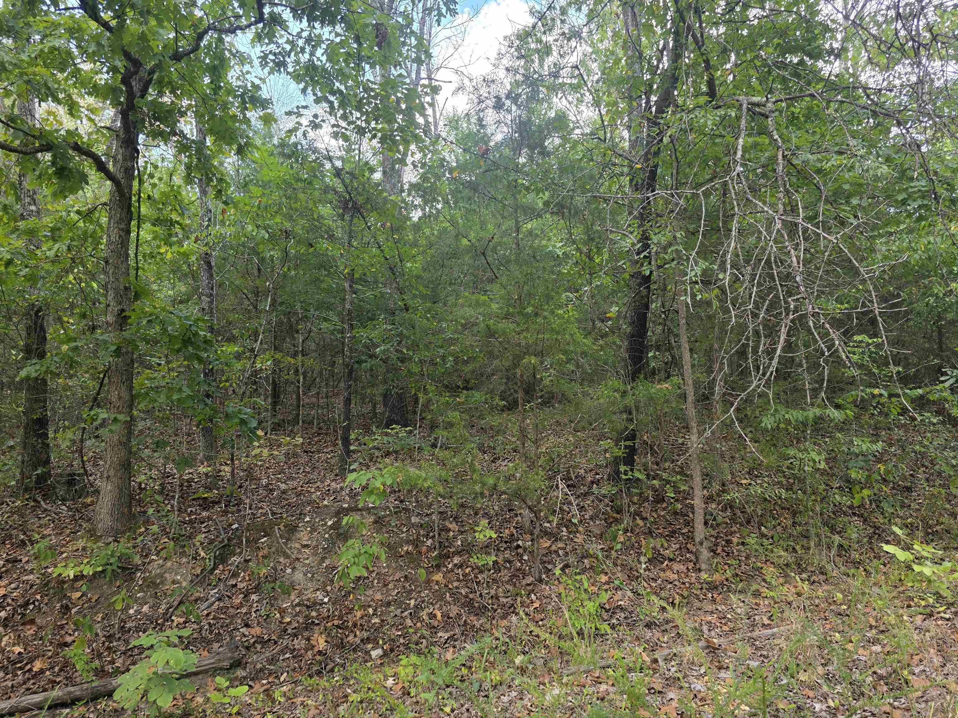 Tbd Multiple Lots Hardy&OA