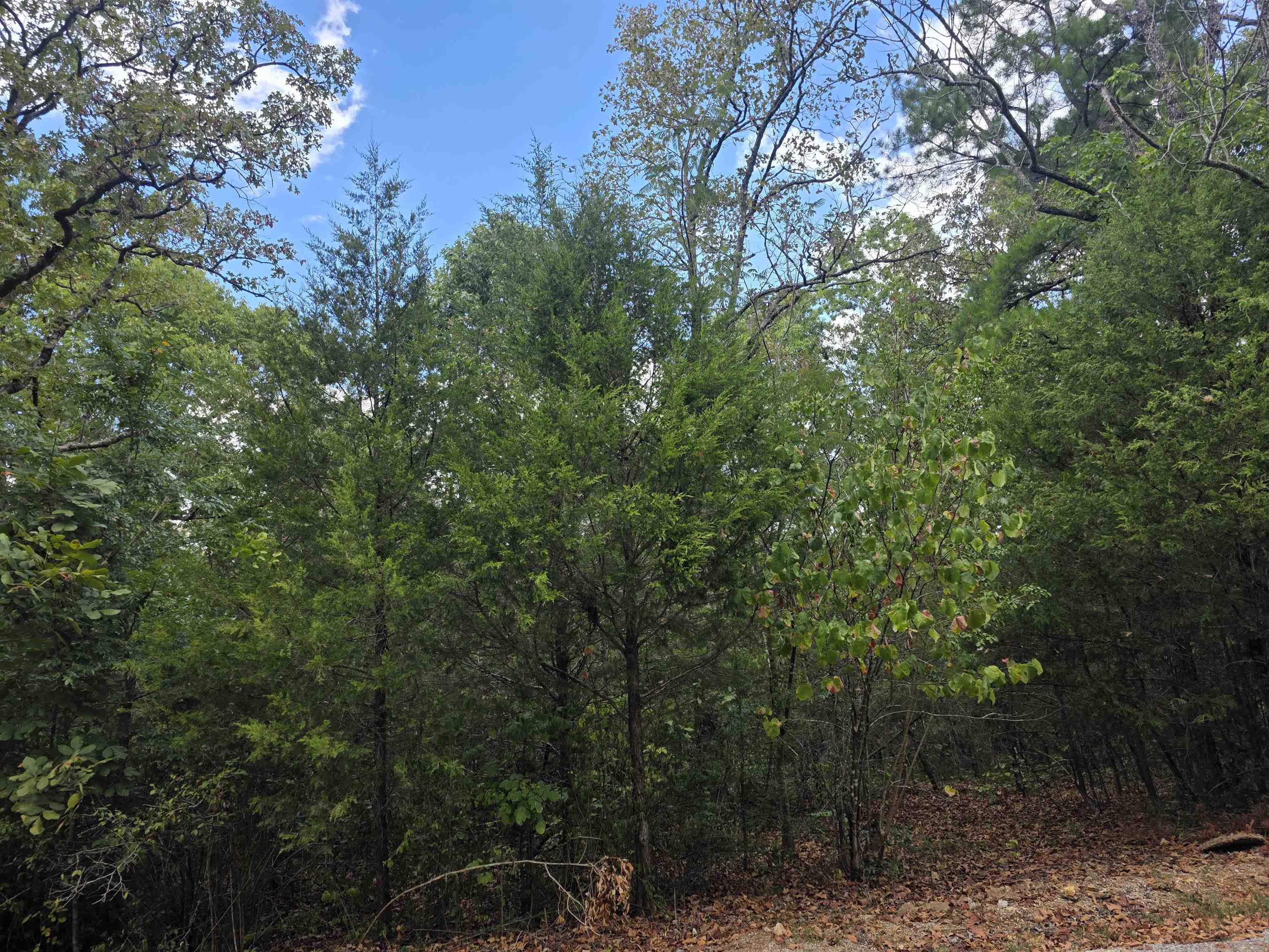 Tbd Multiple Lots Hardy&OA