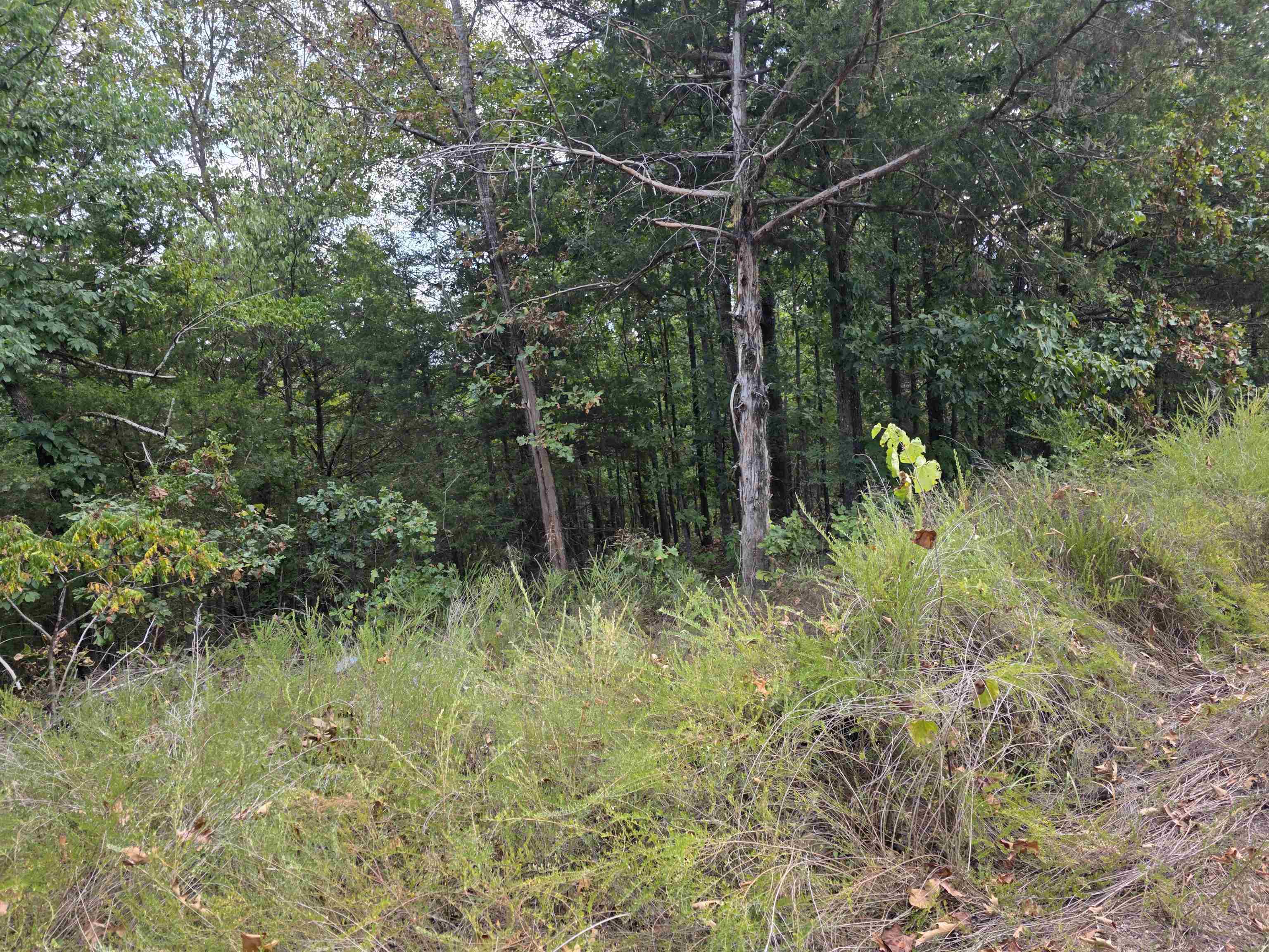 Tbd Multiple Lots Hardy&OA