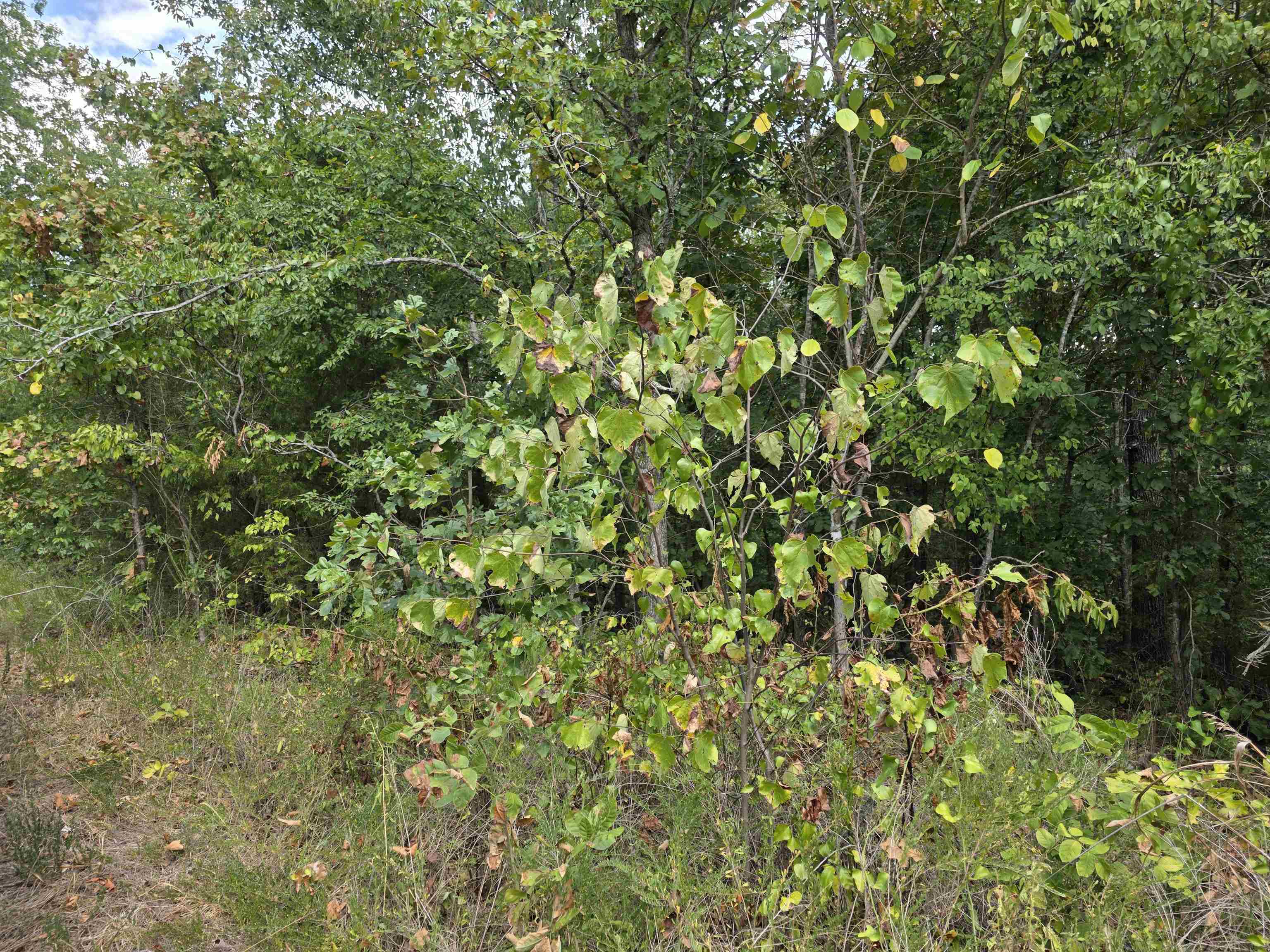 Tbd Multiple Lots Hardy&OA