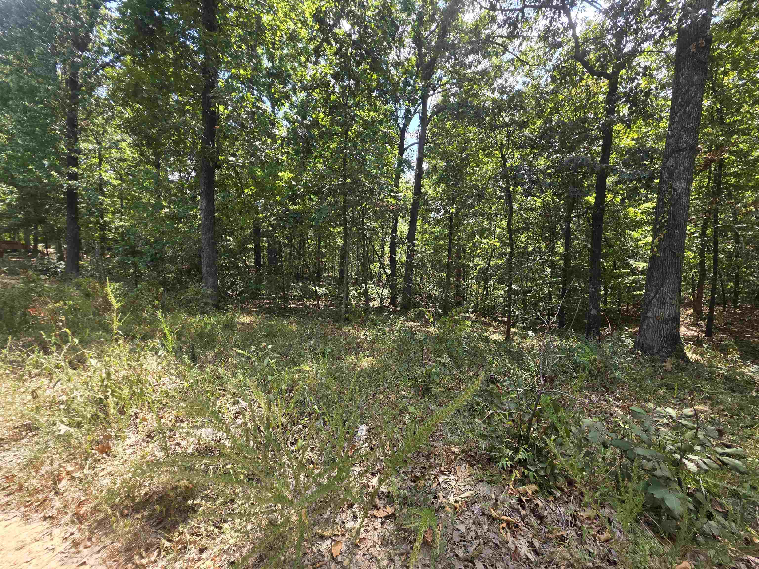 Tbd Multiple Lots Hardy&OA