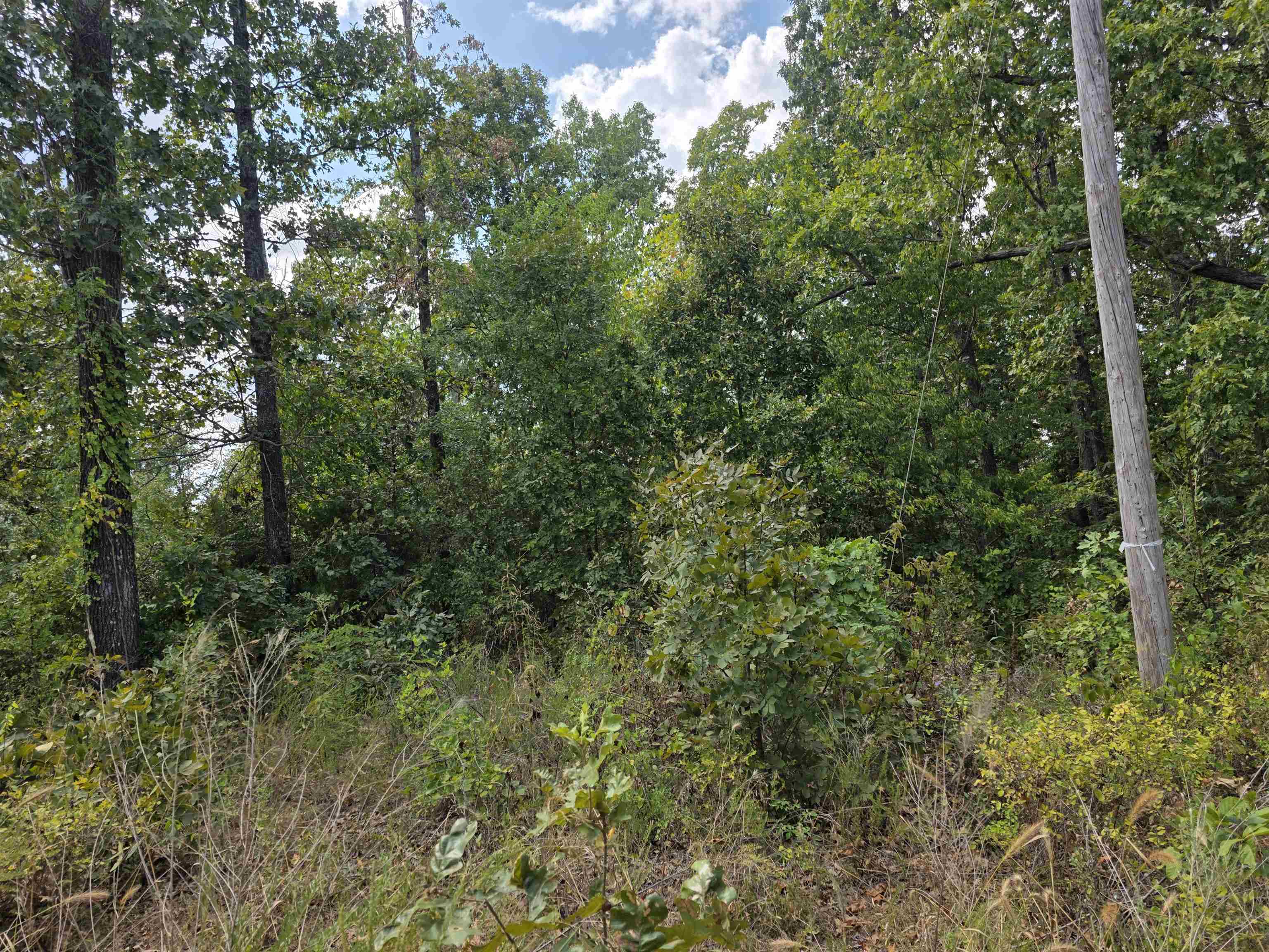 L24 B3 Old CC Road