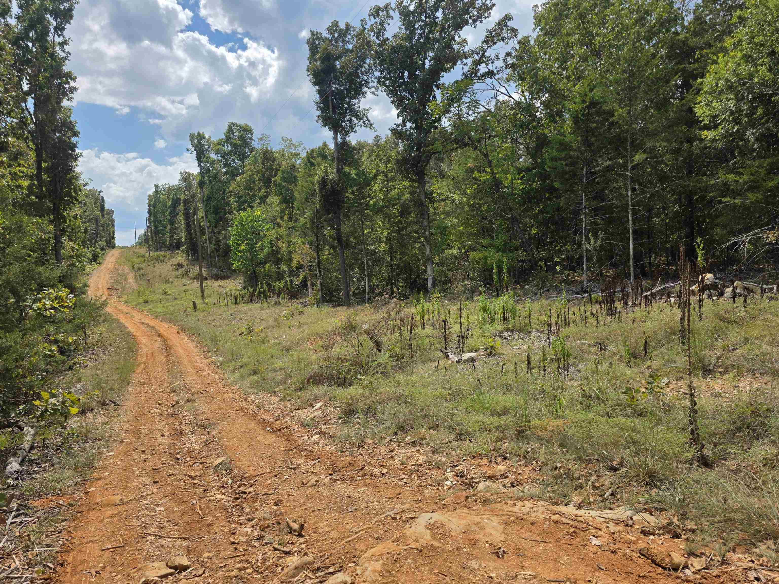 L38 B6 Old CC Road