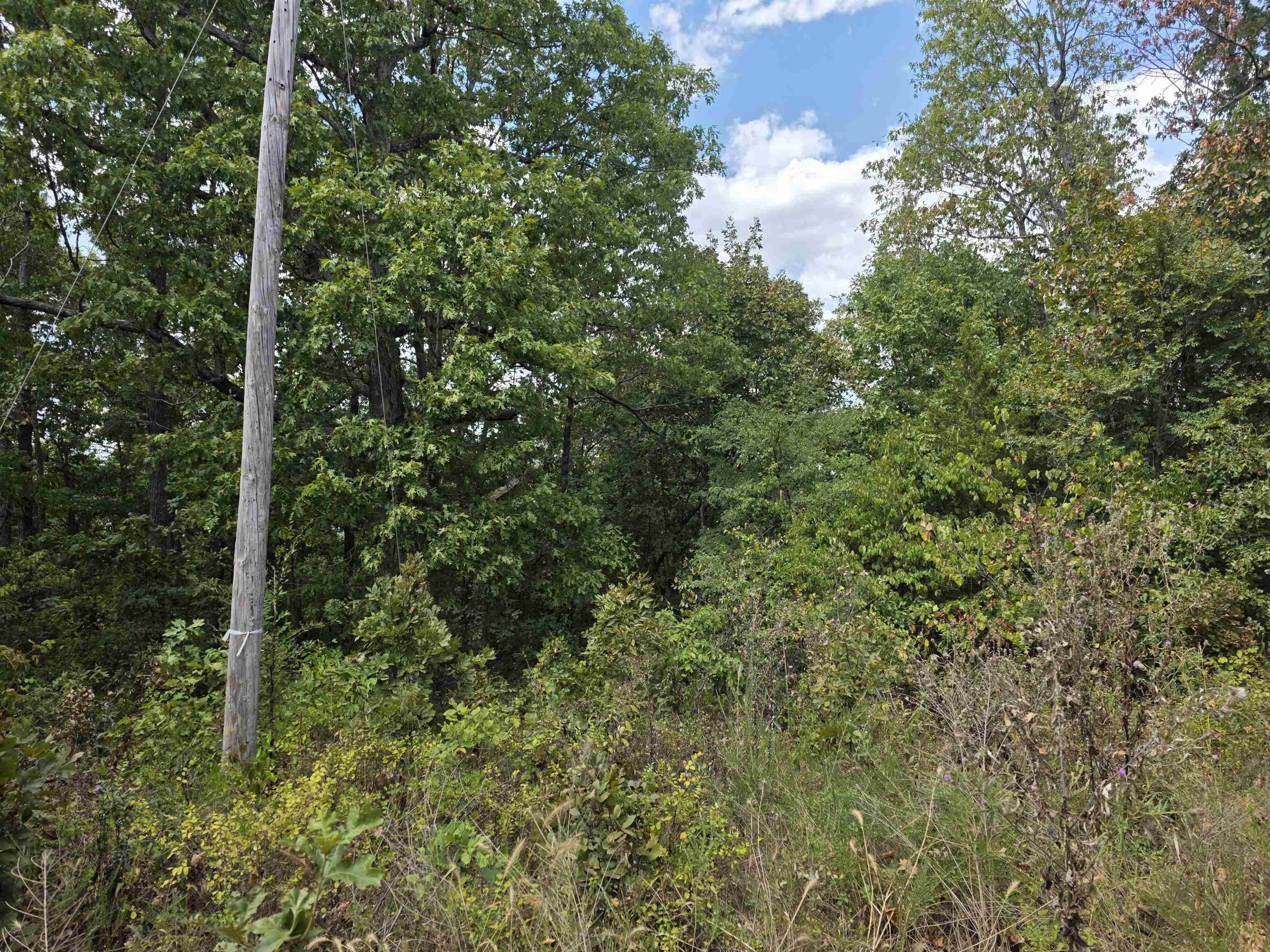 L38 B6 Old CC Road