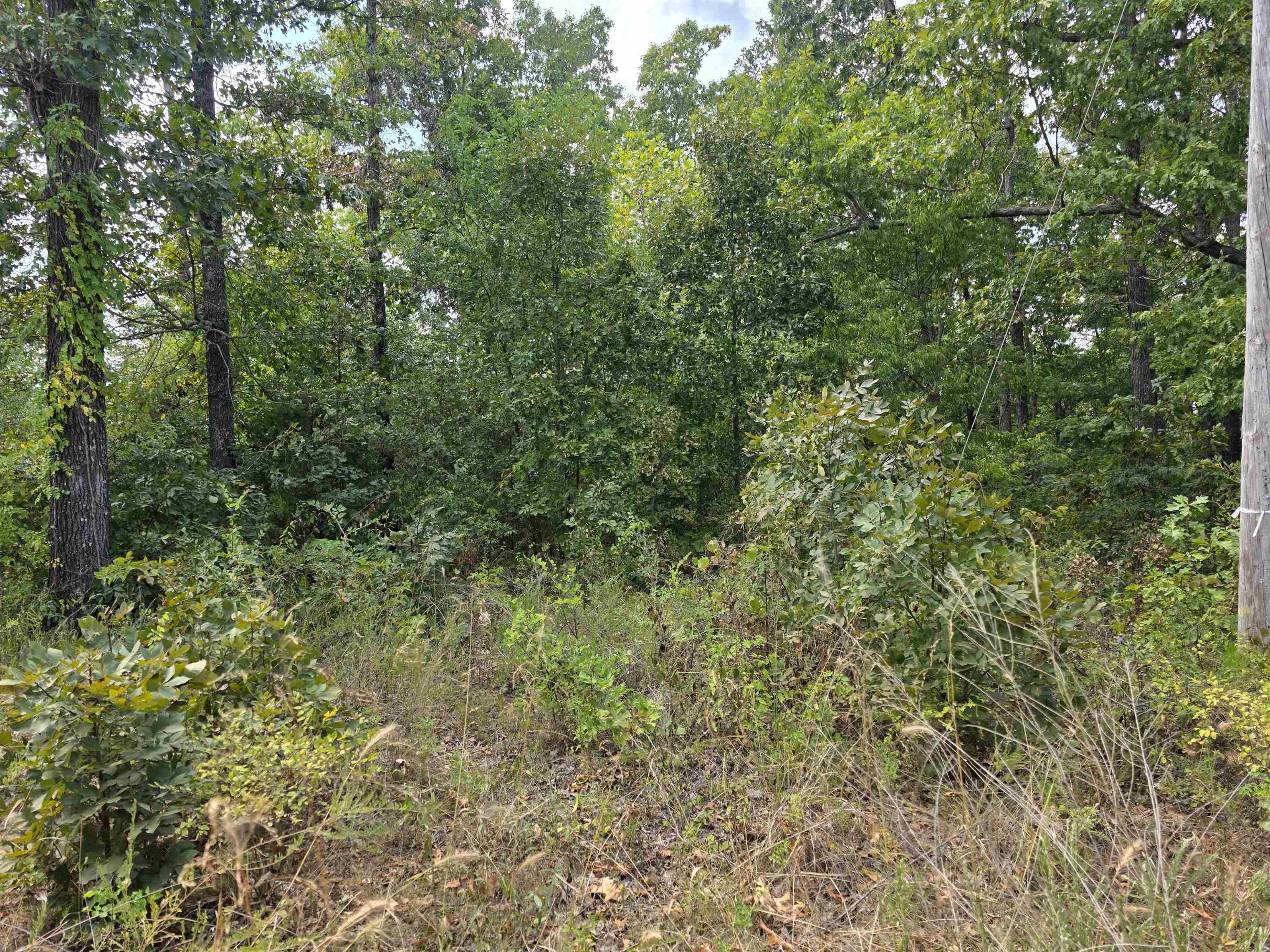L38 B6 Old CC Road