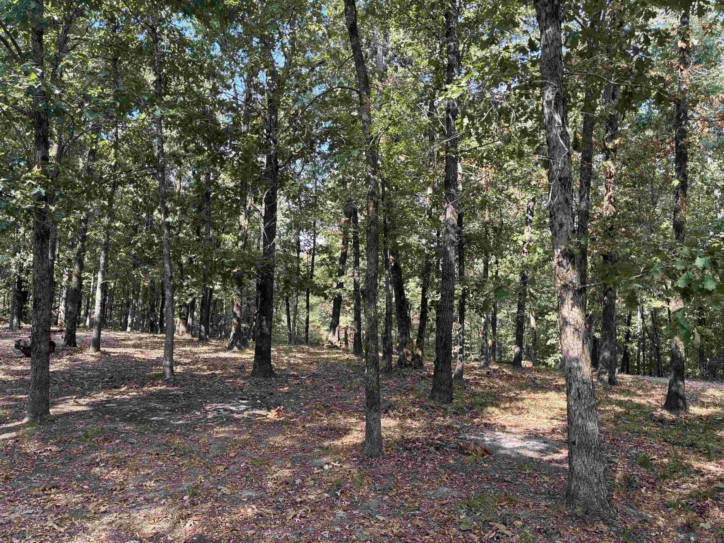 1406 Bibbs Rd.  Pocahontas, AR
