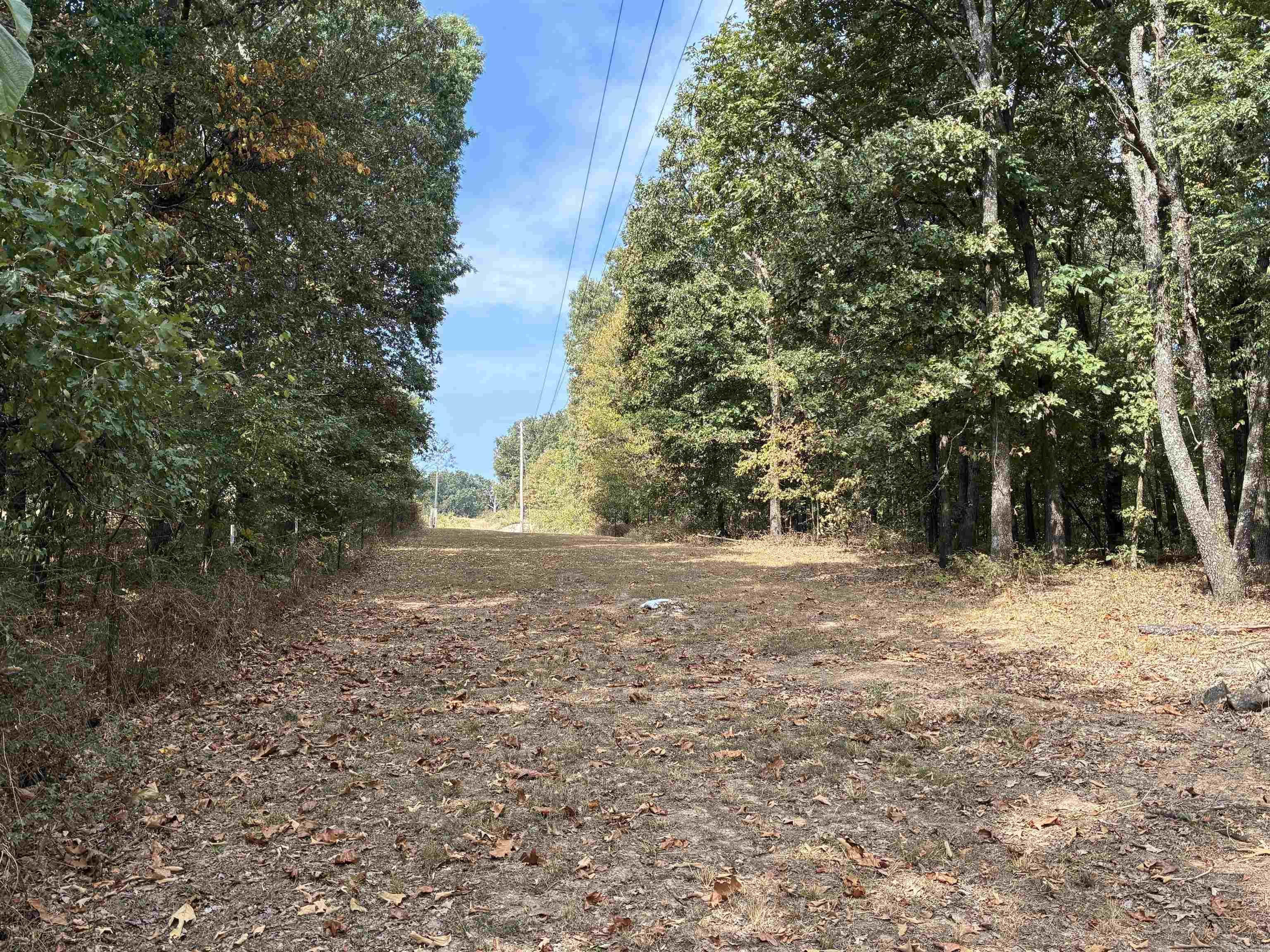1406 Bibbs Rd.  Pocahontas, AR