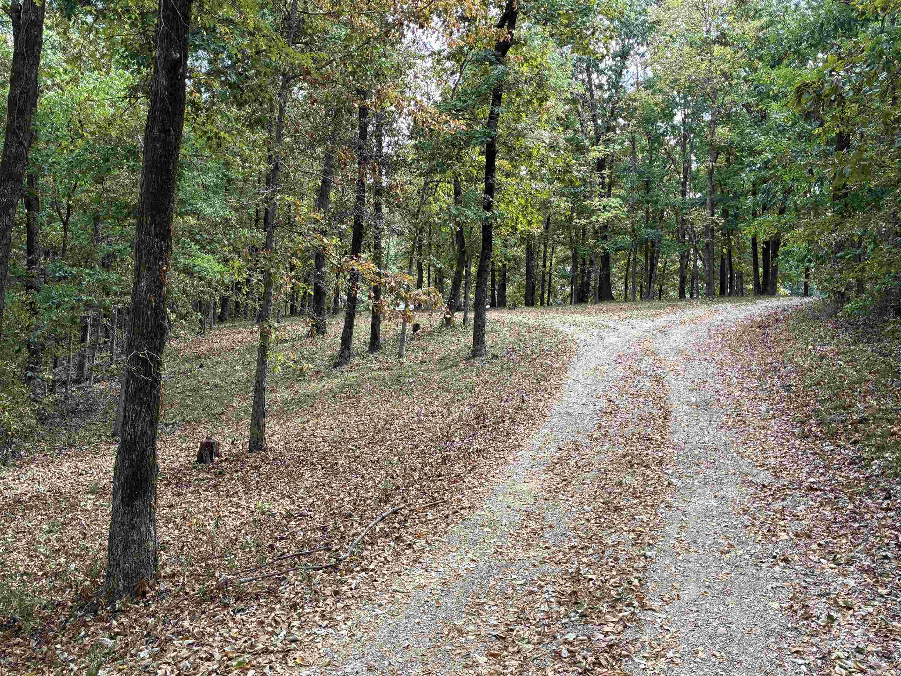 1406 Bibbs Rd.  Pocahontas, AR