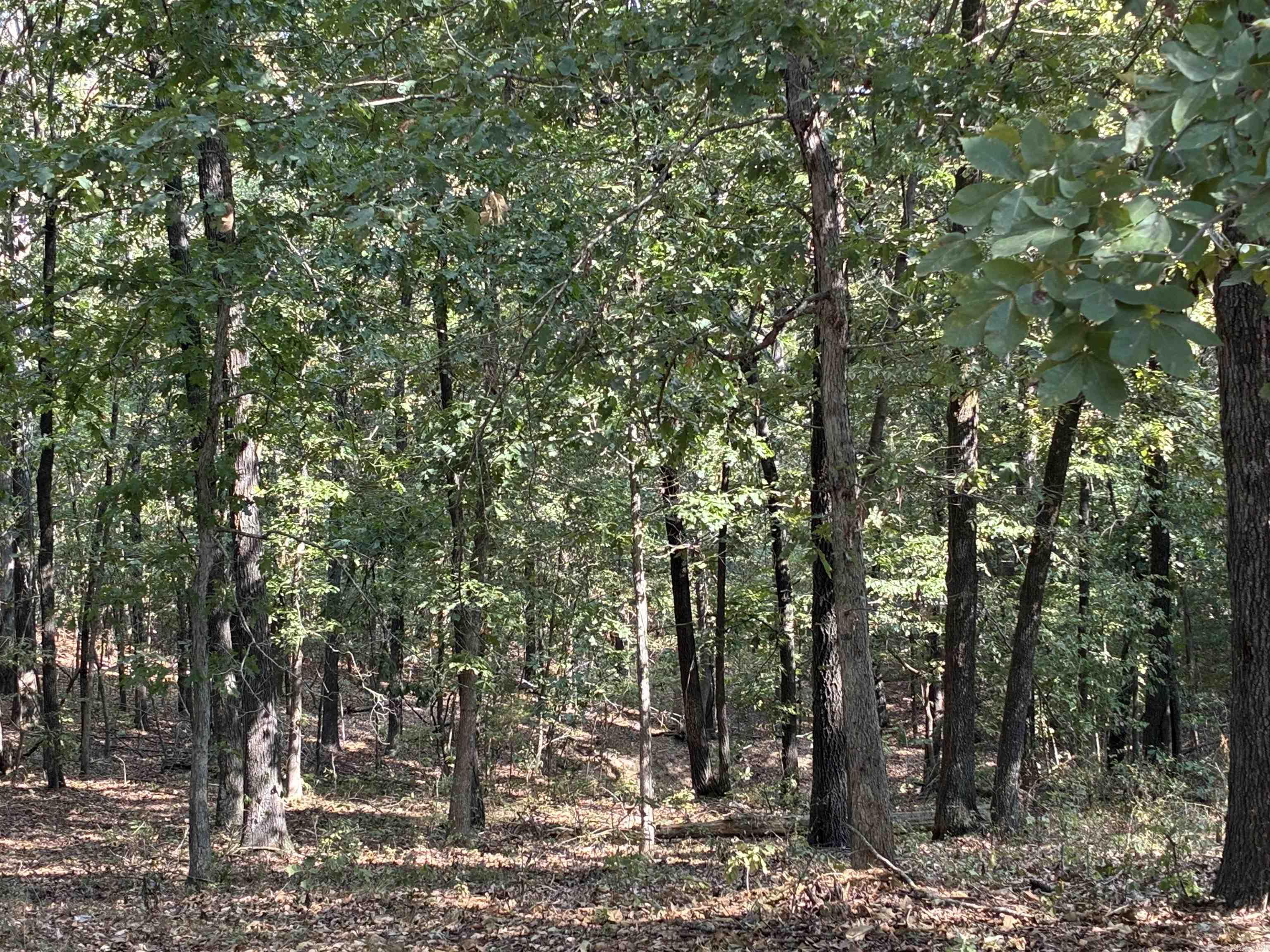1406 Bibbs Rd.  Pocahontas, AR