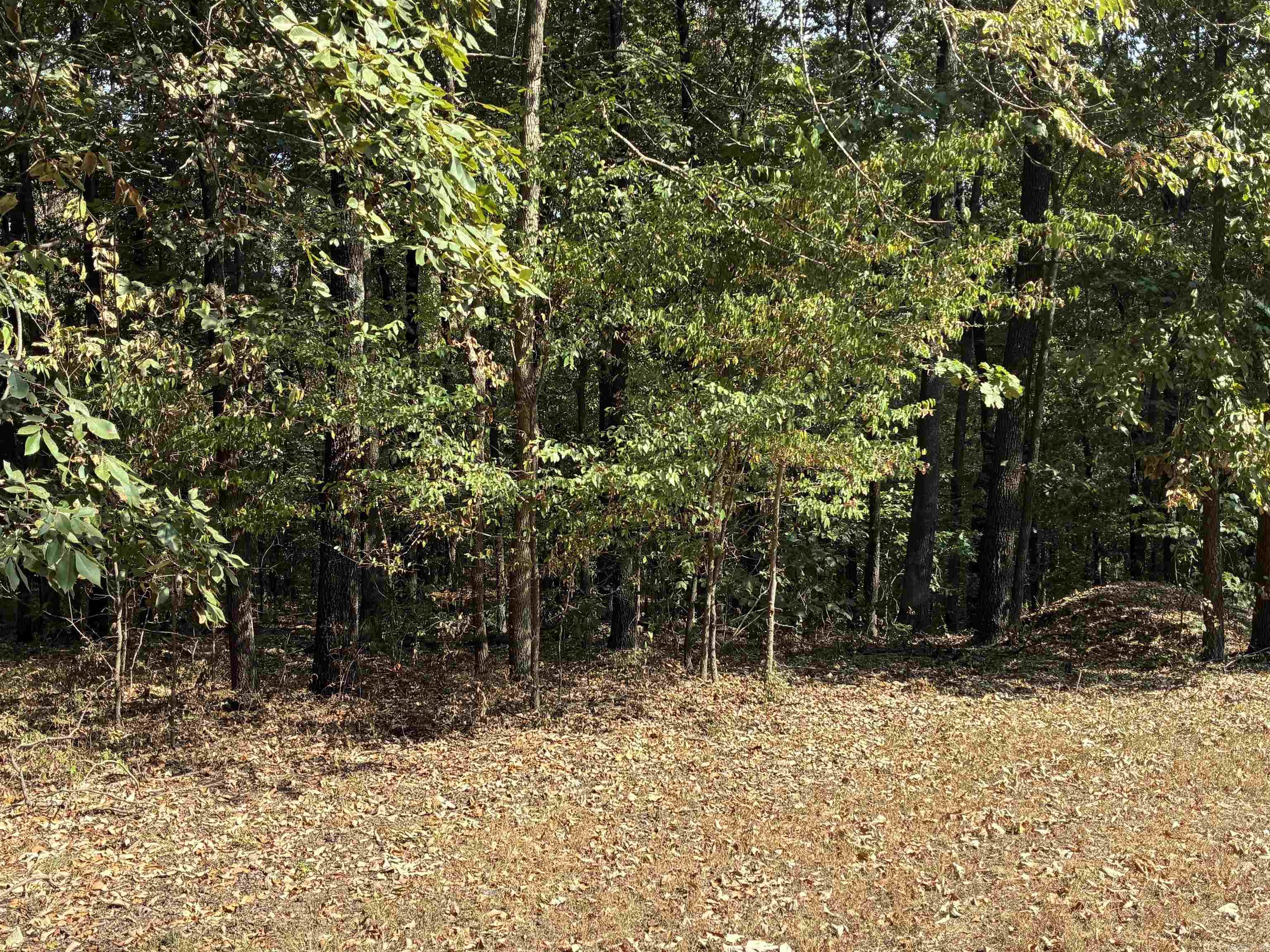 1406 Bibbs Rd.  Pocahontas, AR