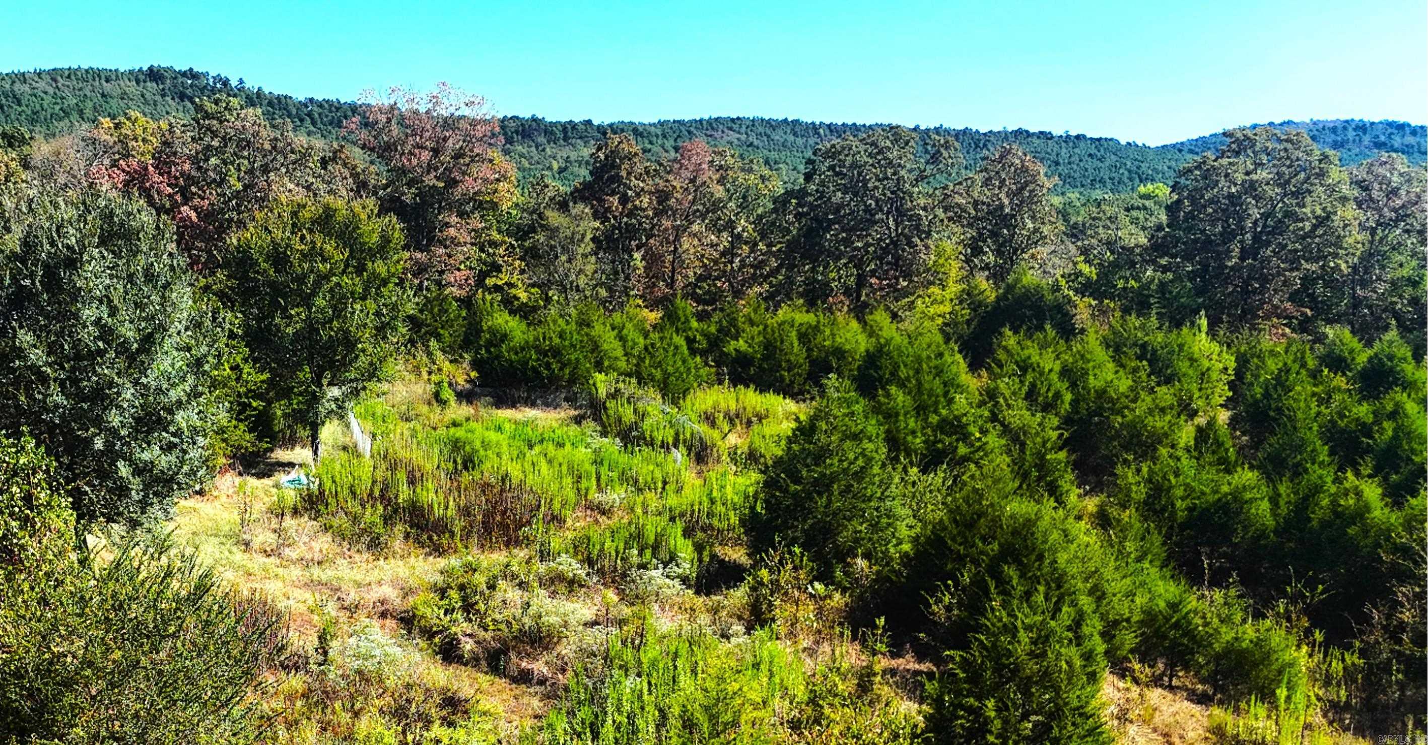 565 Polk Road 194 Mena, AR 71953