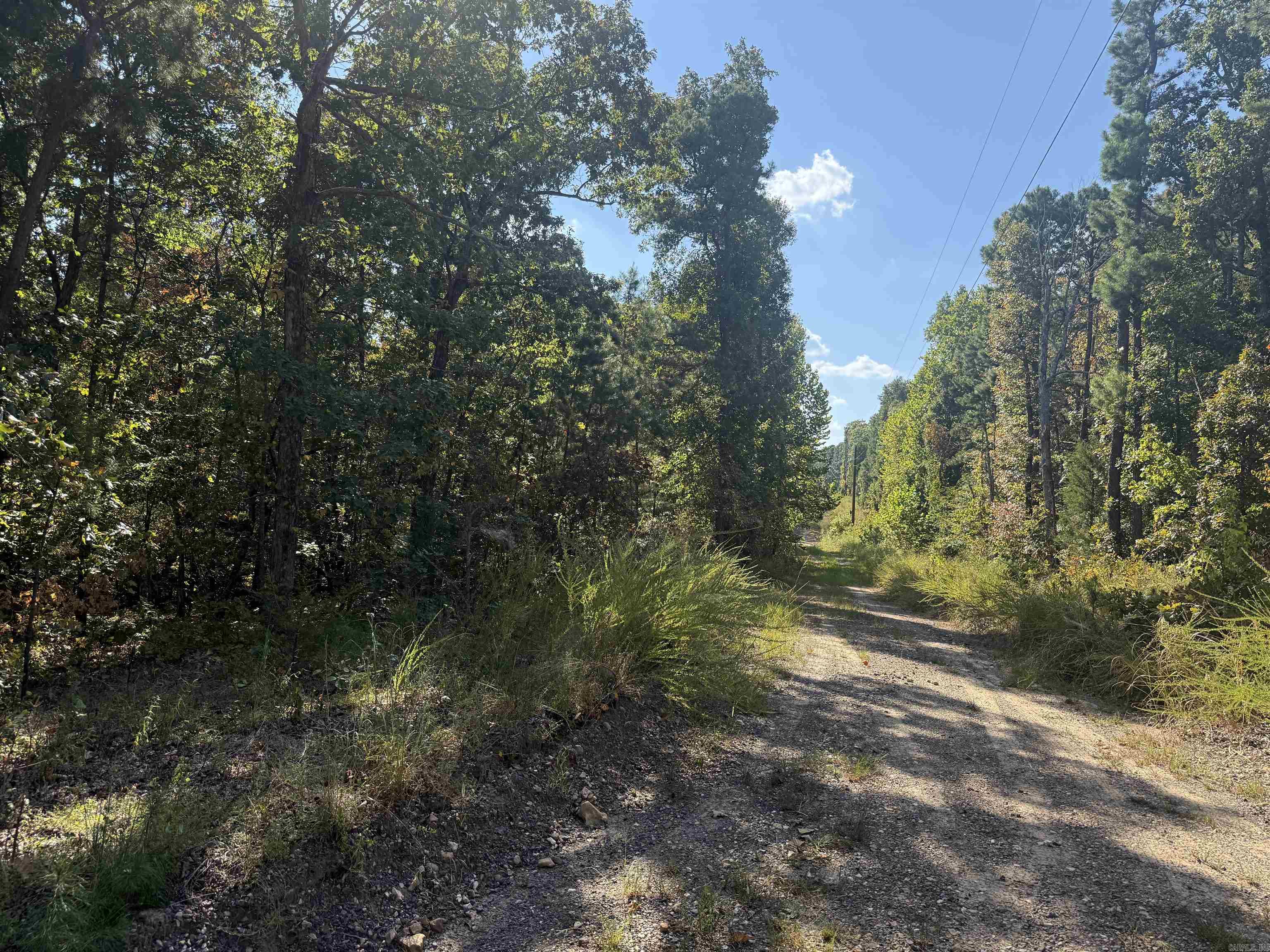 305 Deer Run  Leslie, AR