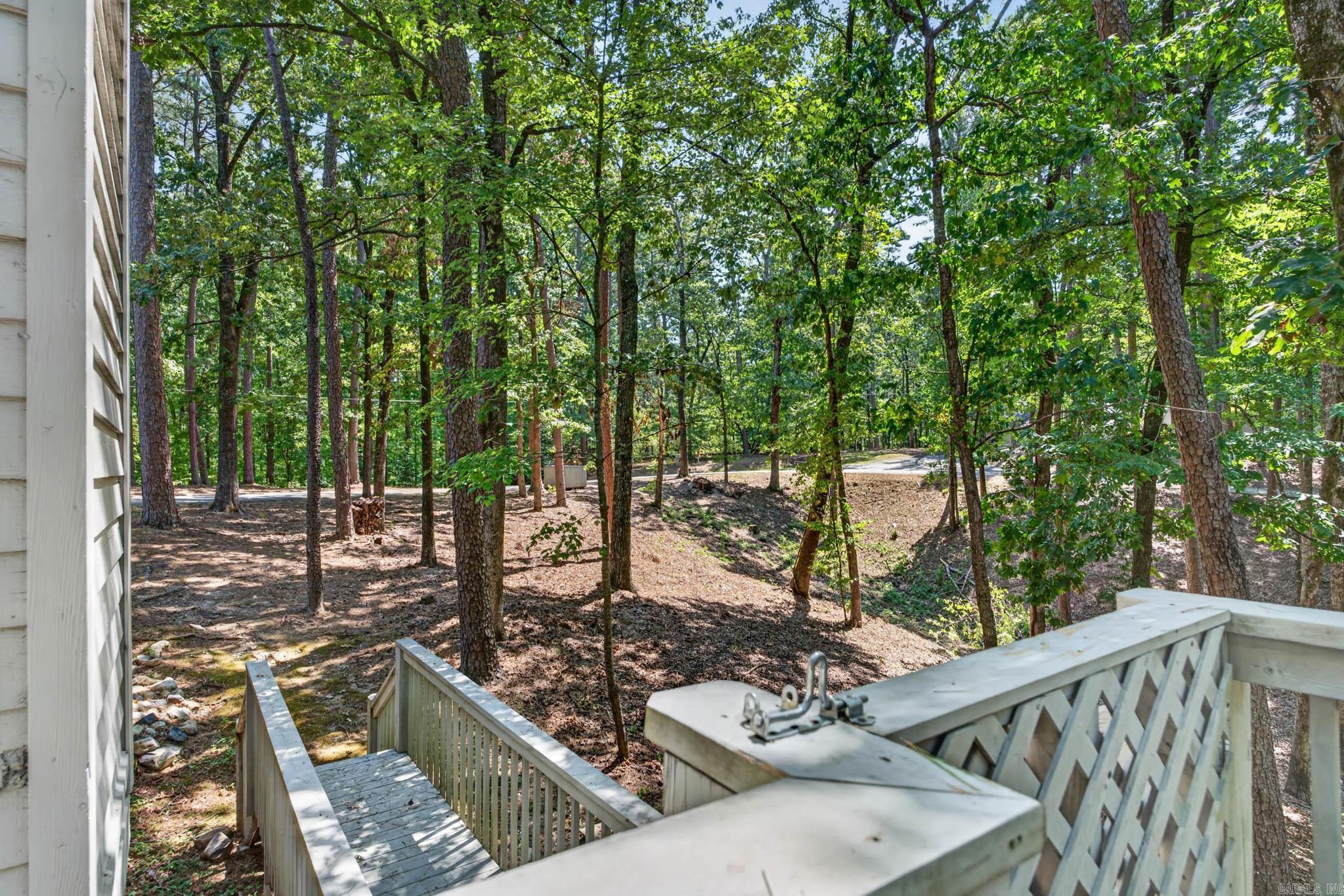 93 Silver Point  Mount Ida, AR