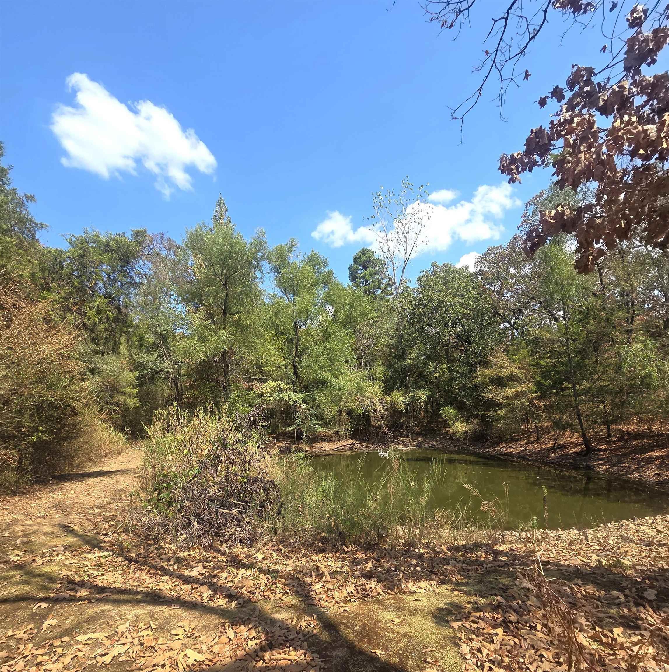 4675 Dooley Road  Boles, AR