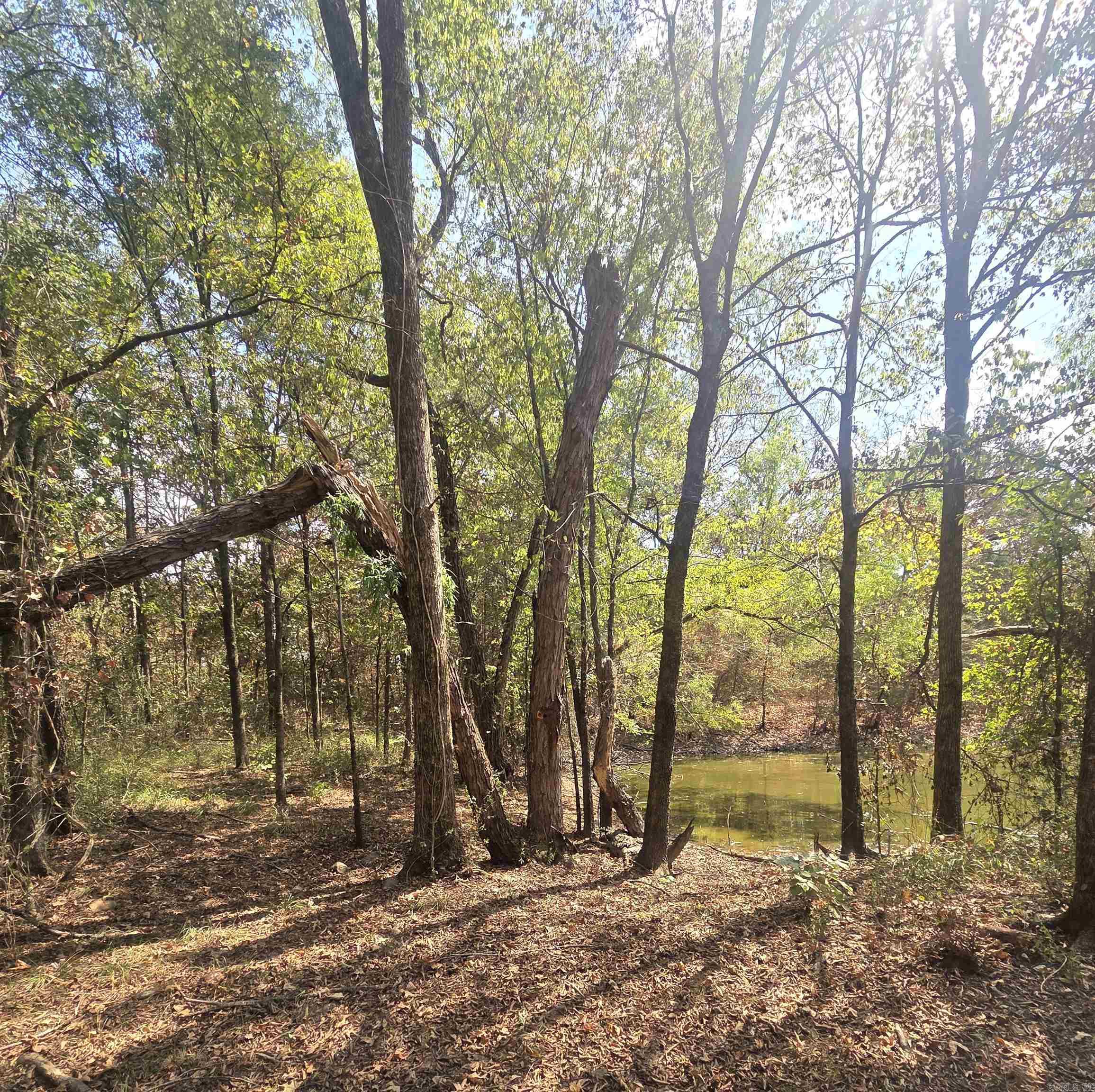 4675 Dooley Road  Boles, AR