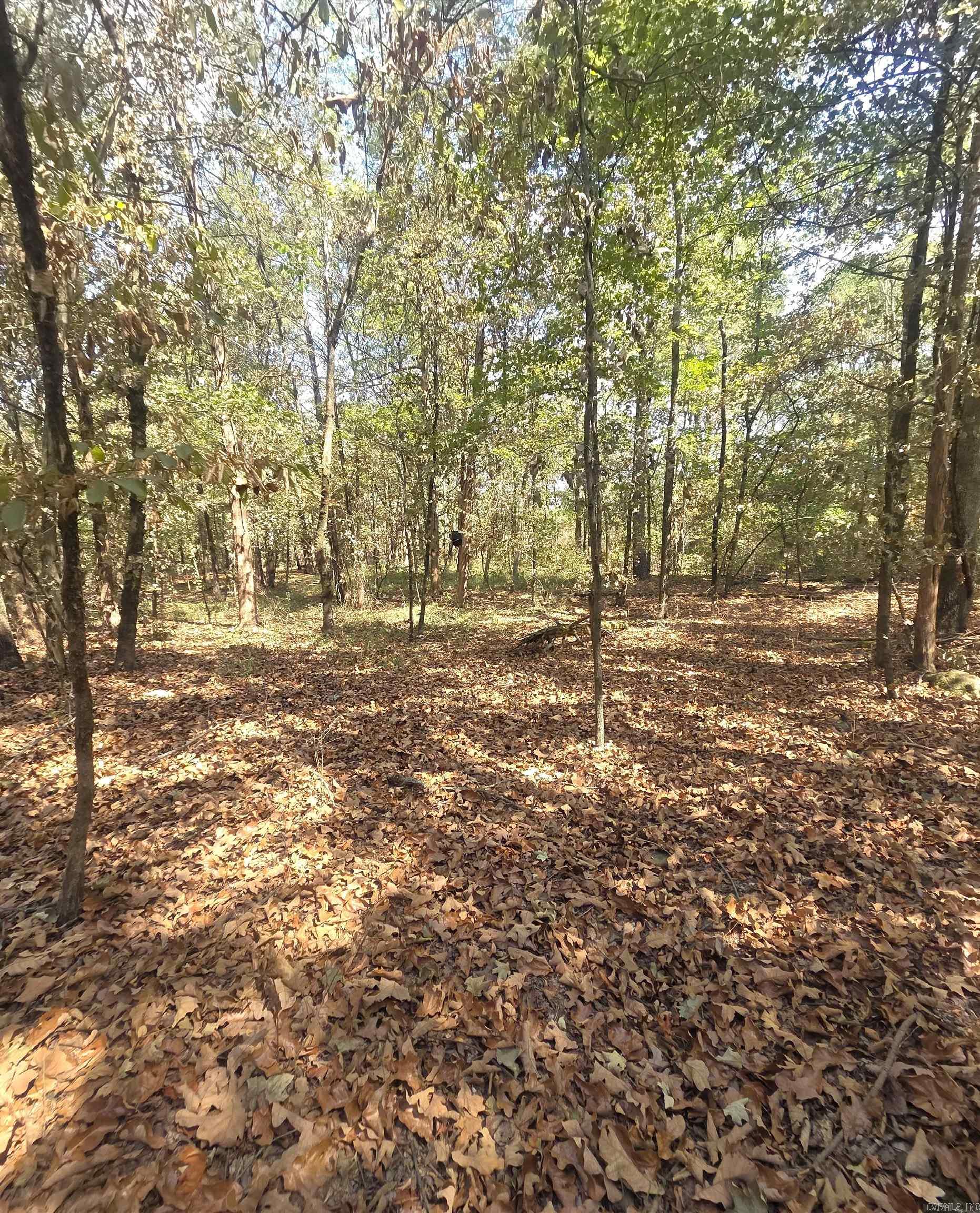 4675 Dooley Road  Boles, AR