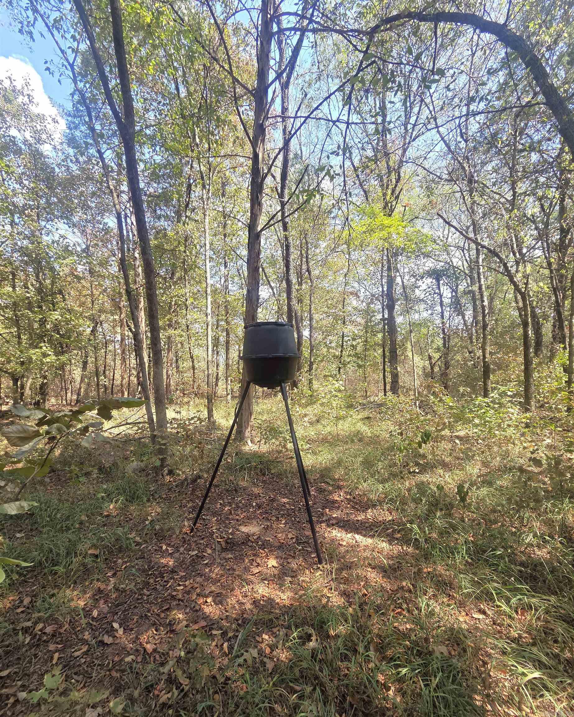 4675 Dooley Road  Boles, AR