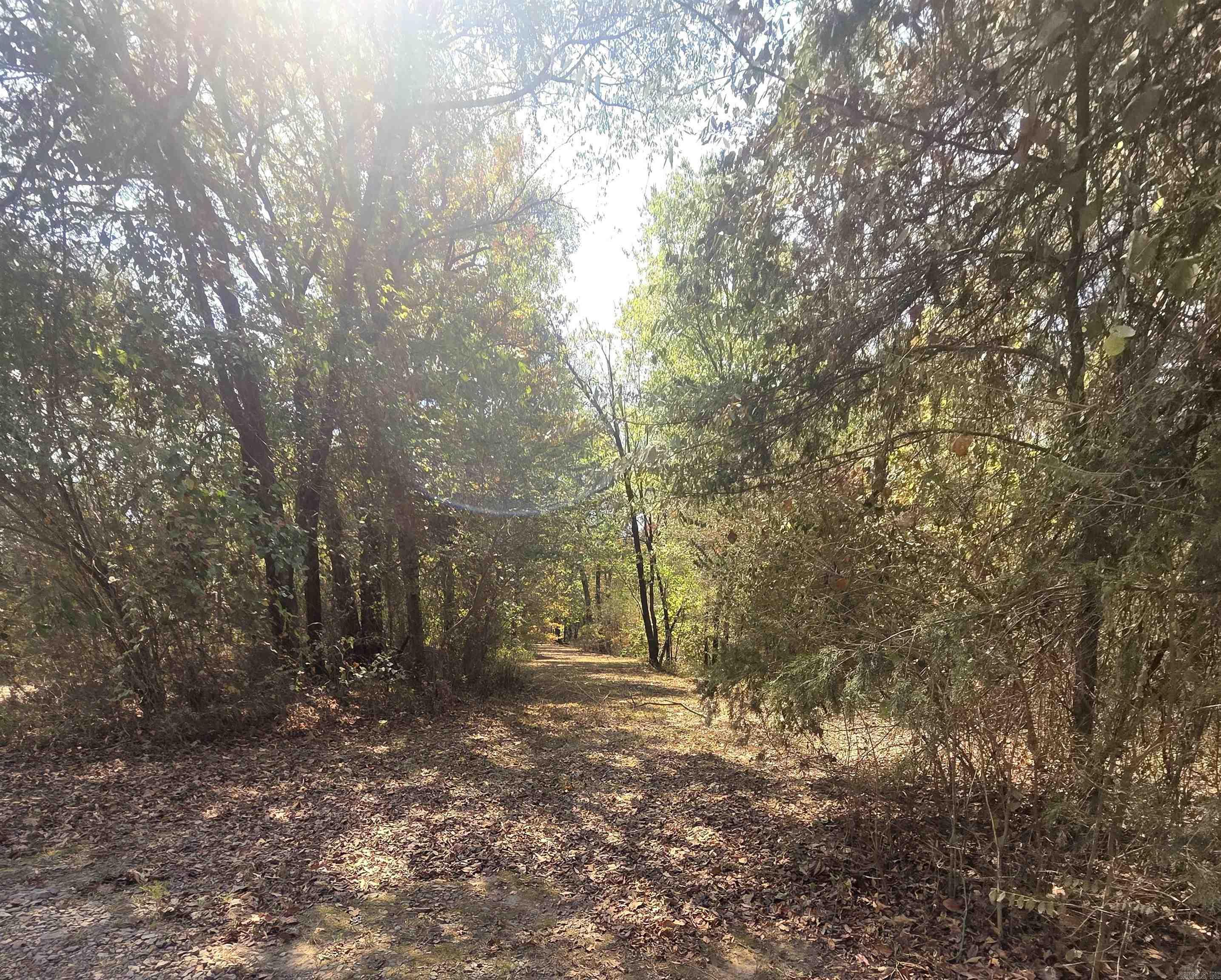 4675 Dooley Road  Boles, AR