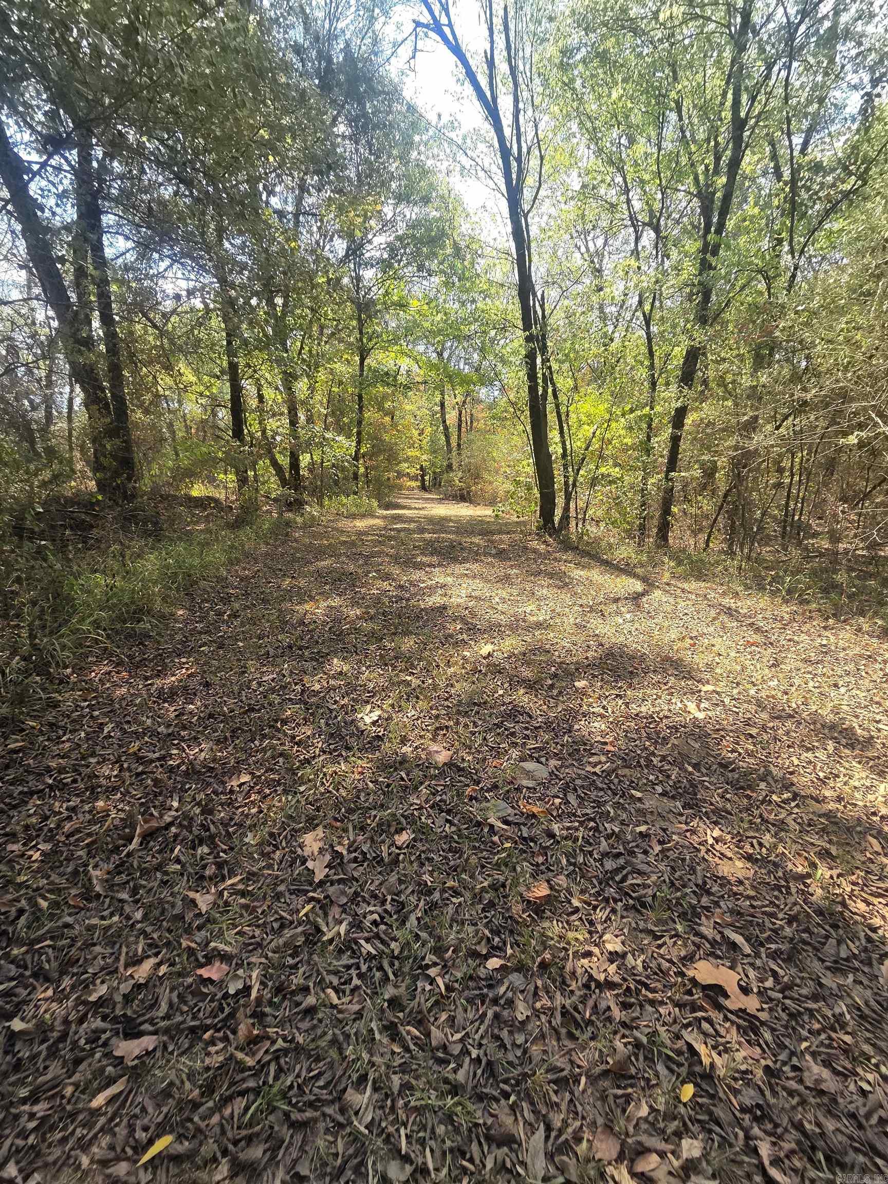 4675 Dooley Road  Boles, AR
